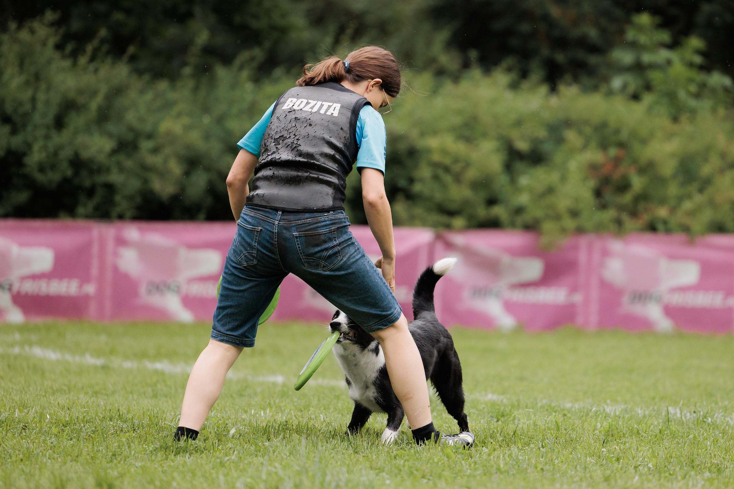 Latające psy, Wrocław'25. Kaja | fotograf psów we Wrocławiu