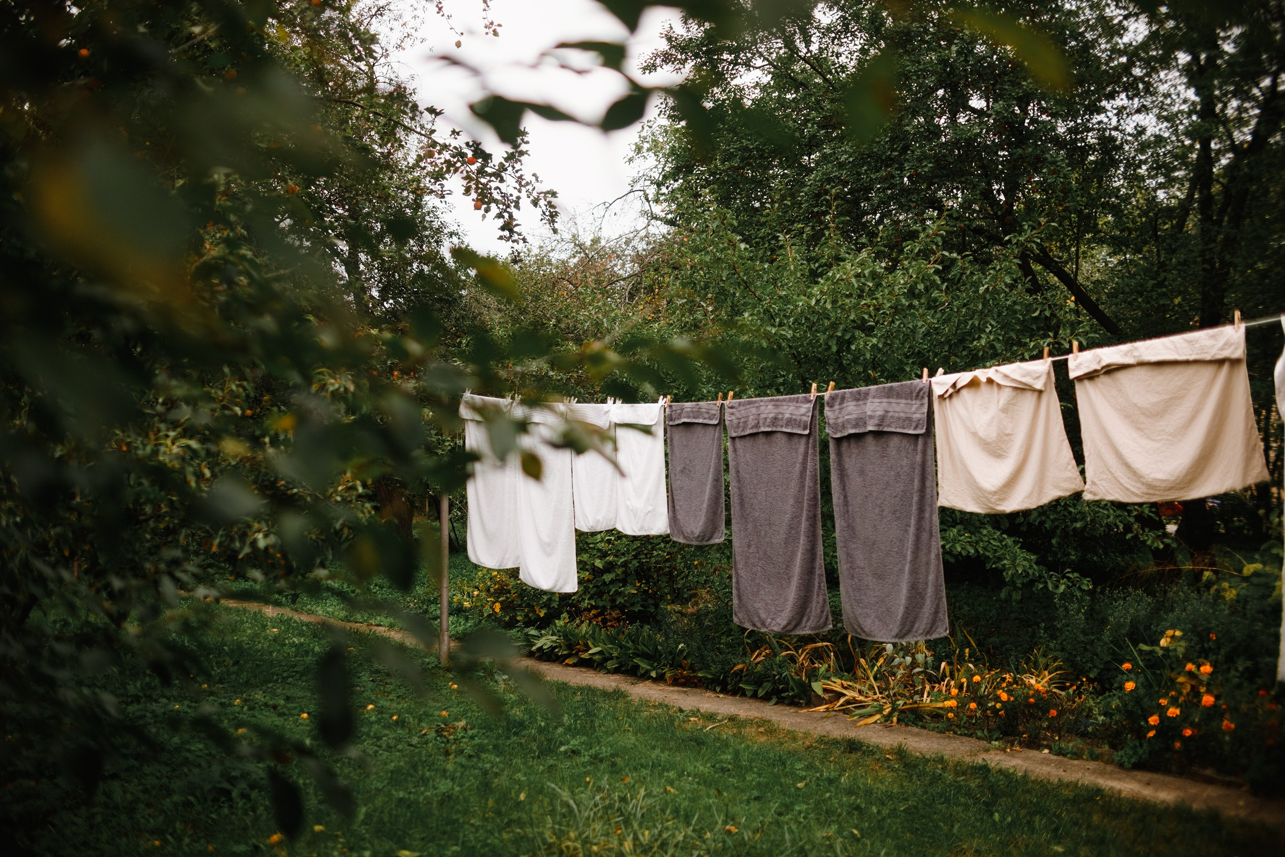 Grodno. Kaja | fotograf we Wrocławiu | ludzie i psy