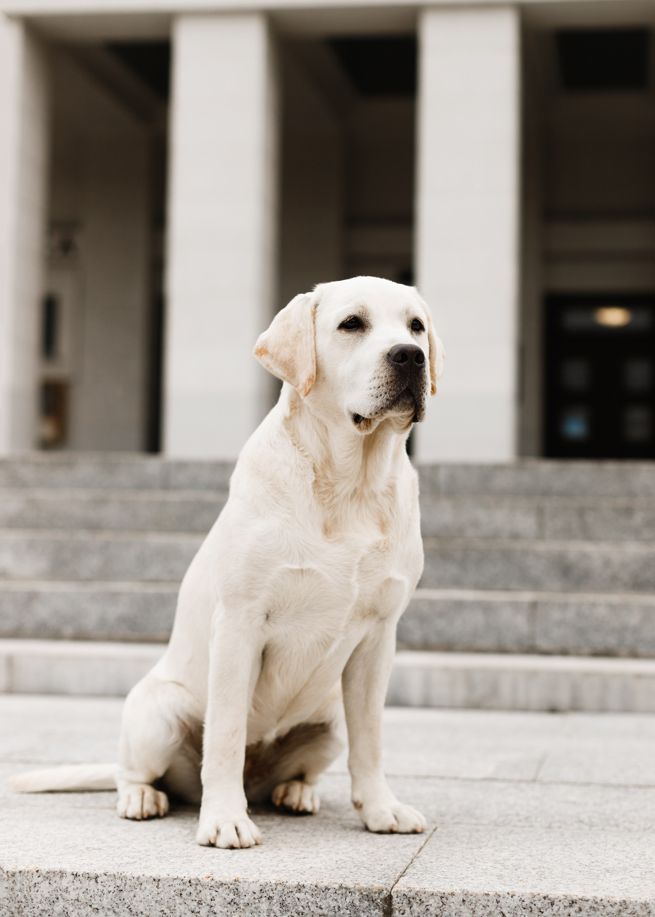 Tatiana & Tessa. Kaja | fotograf we Wrocławiu | ludzie i psy