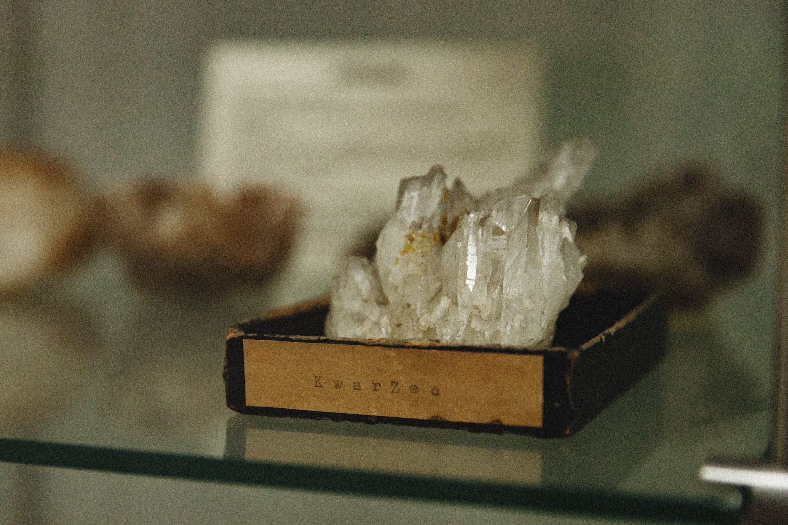 Museum of farmacy in Wroclaw. Kaja | fotograf we Wrocławiu | ludzie i psy