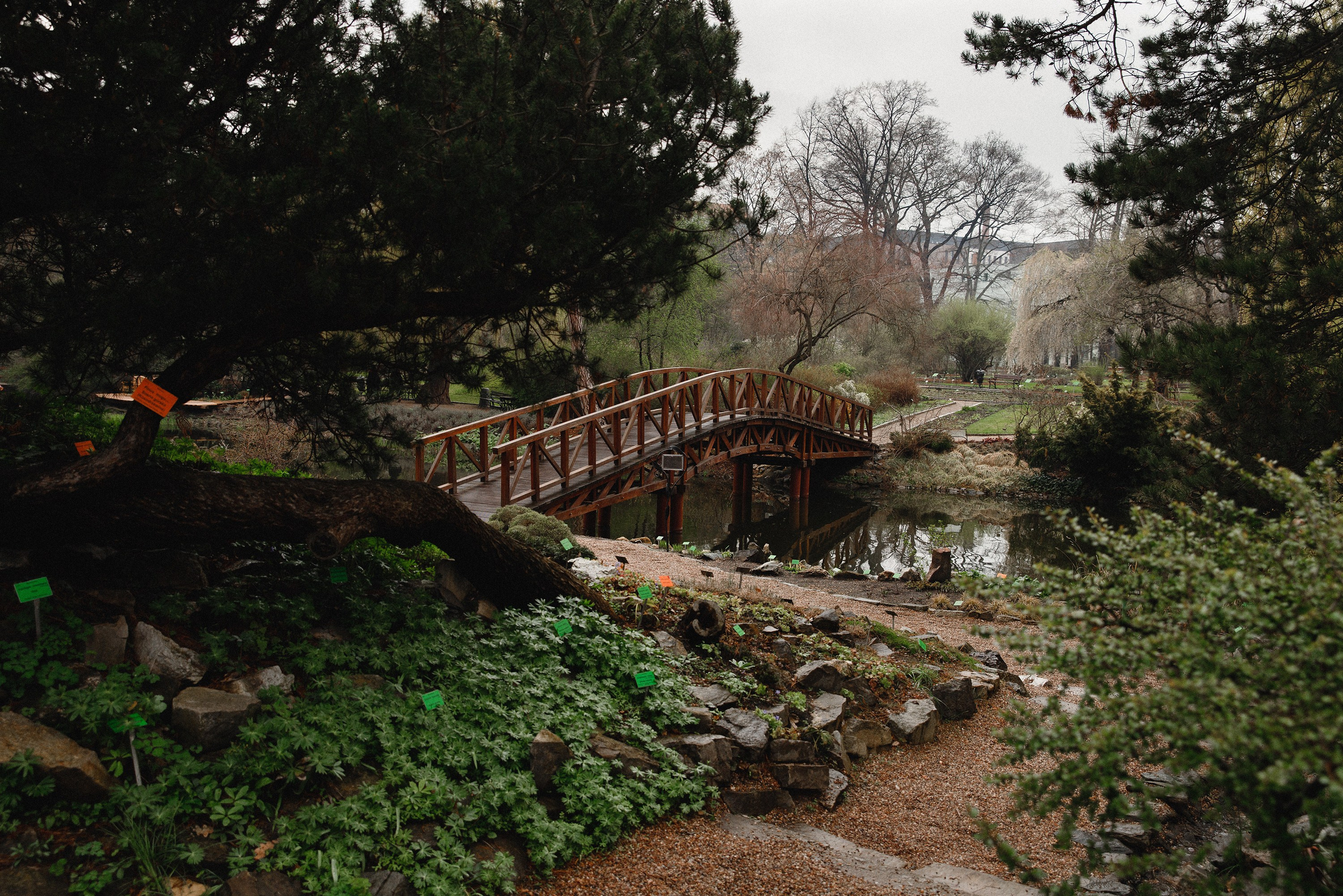 Botanical garden in Wroclaw. Kaja | fotograf we Wrocławiu | ludzie i psy