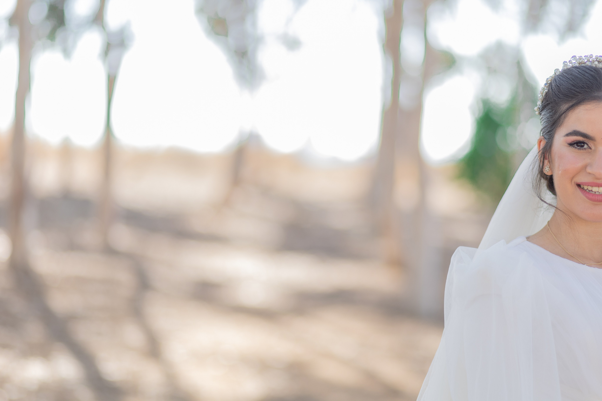 M&N. משה מנשה צלם חתונות