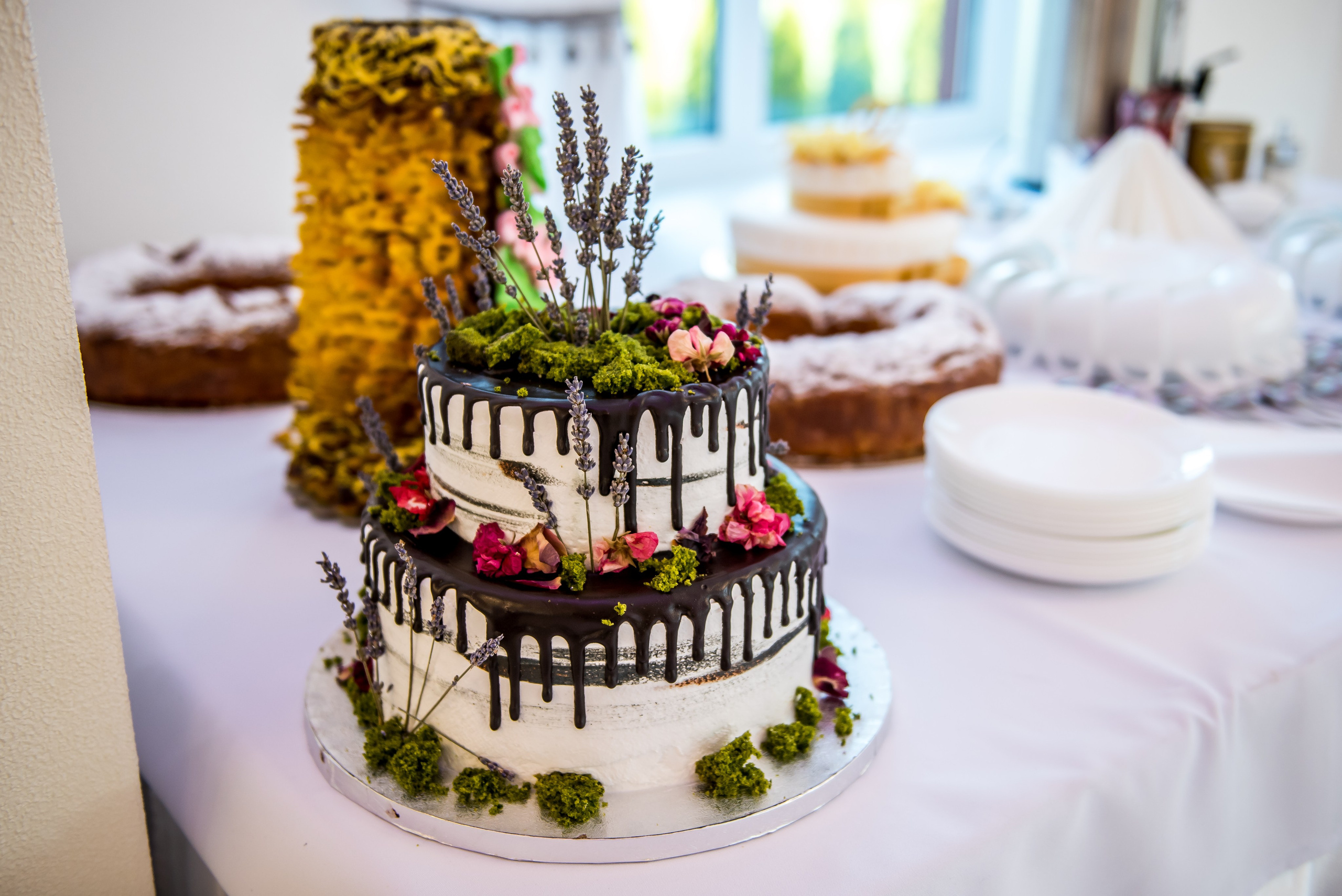 Bakhtiar and Veronica, Vilnius. Свадебный фотограф. Европа. Свадьба. Латвия