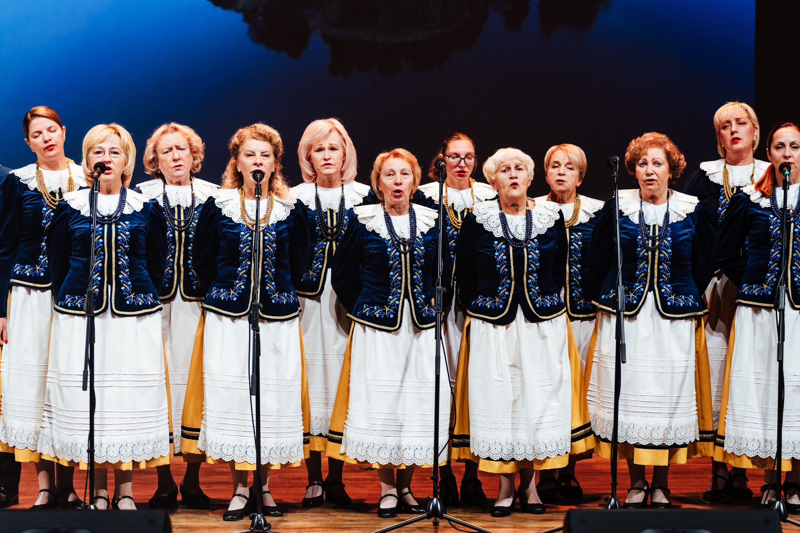 Traku kulturos centro koncertas. OnePIXEL