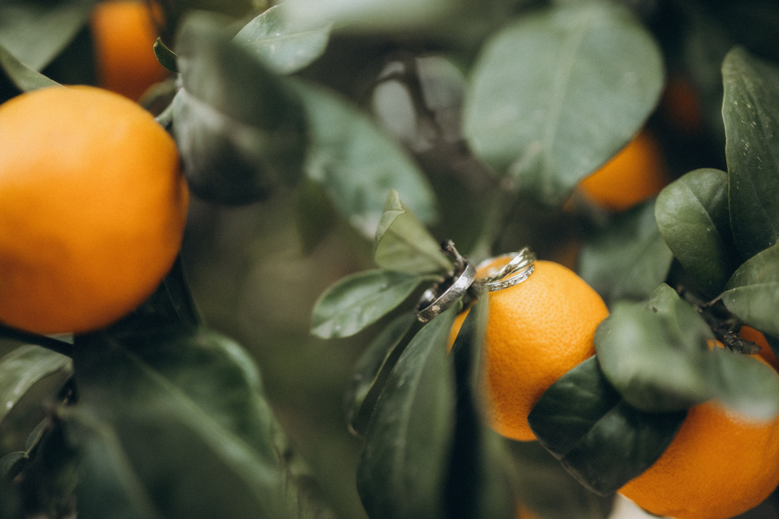 Dana & Alex. Rural Can Jaques. Paola wedding photographer / videographer in Barcelona