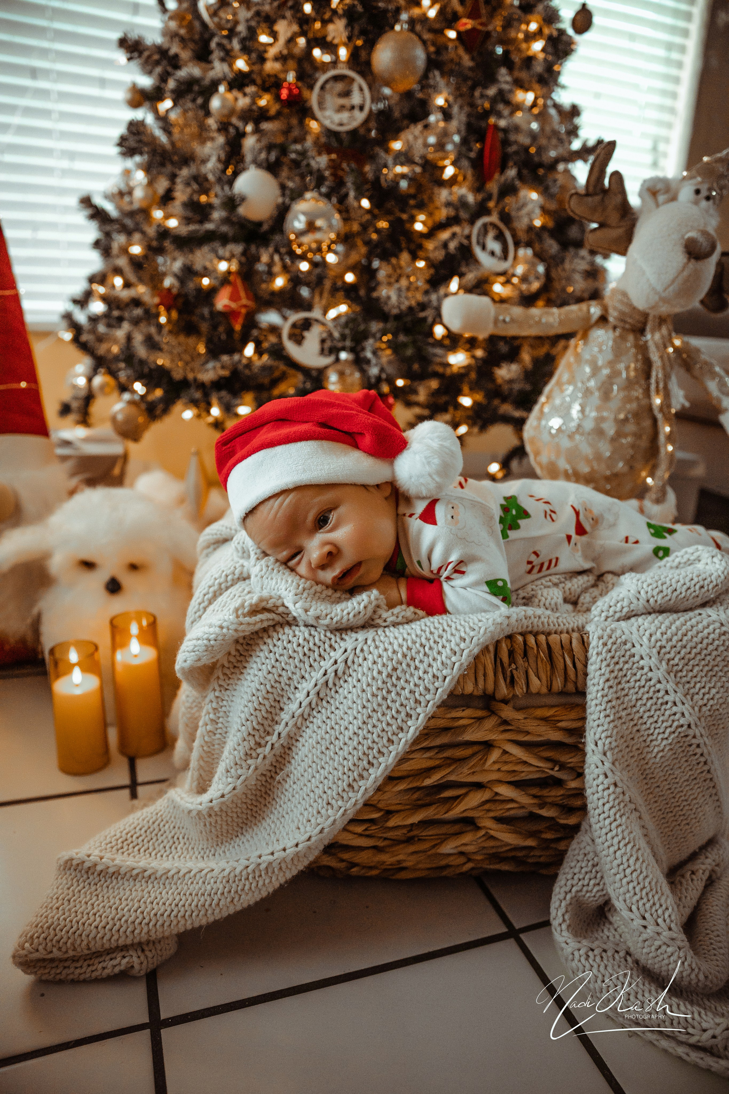 Holidays. Photographer in Miami, Family photographer, Event, Wedding