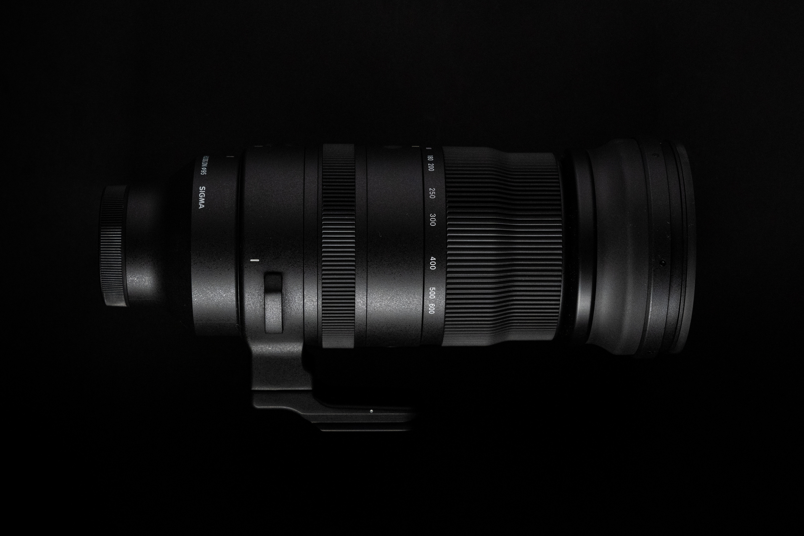 Обзор Sigma 150-600mm DG DN Sport. Фотограф Григорий Кравец