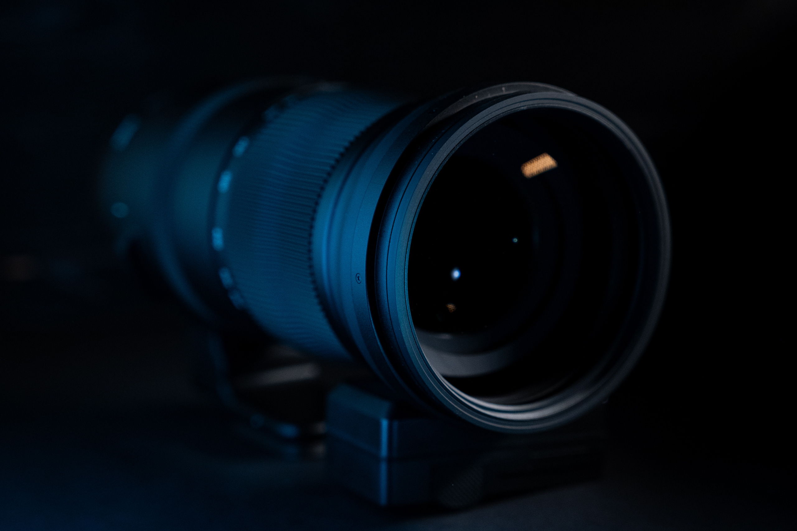 Обзор Sigma 150-600mm DG DN Sport. Фотограф Григорий Кравец