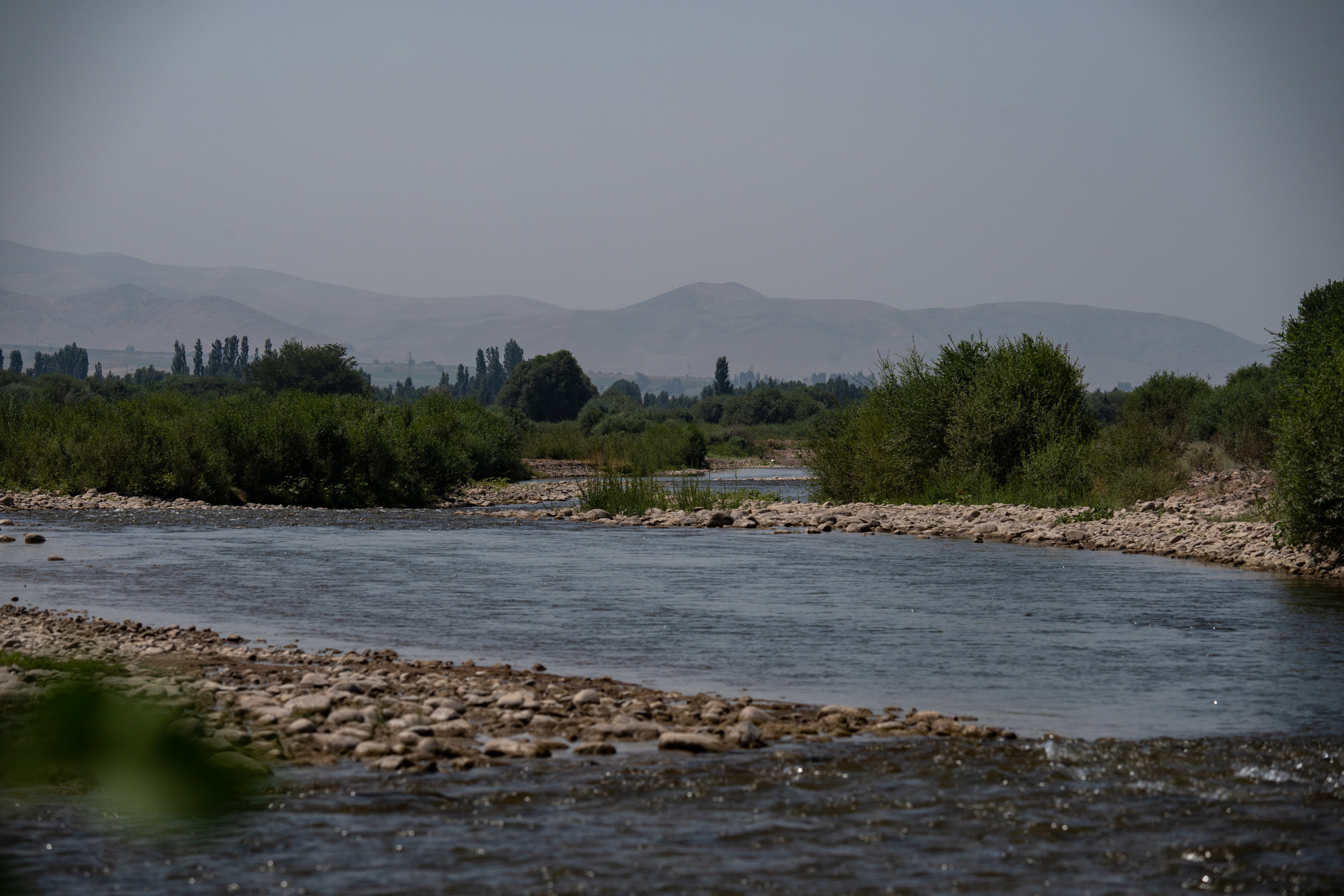 Обзор Sigma 150-600mm DG DN Sport. Фотограф Григорий Кравец