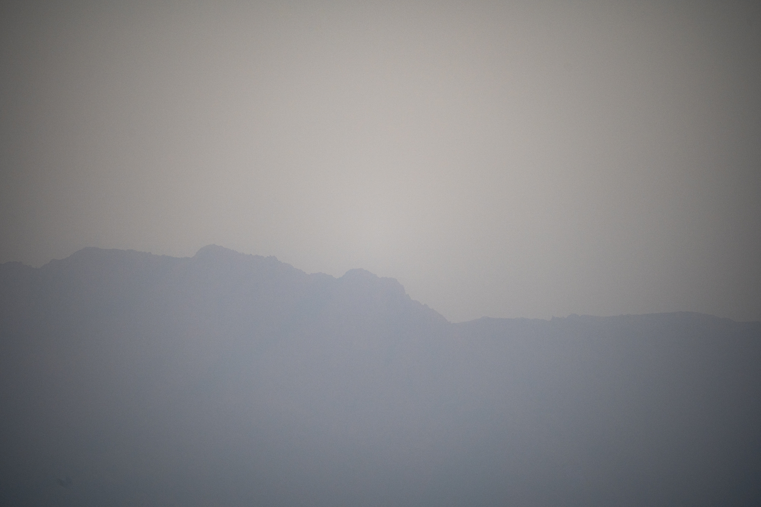 Обзор Sigma 150-600mm DG DN Sport. Фотограф Григорий Кравец