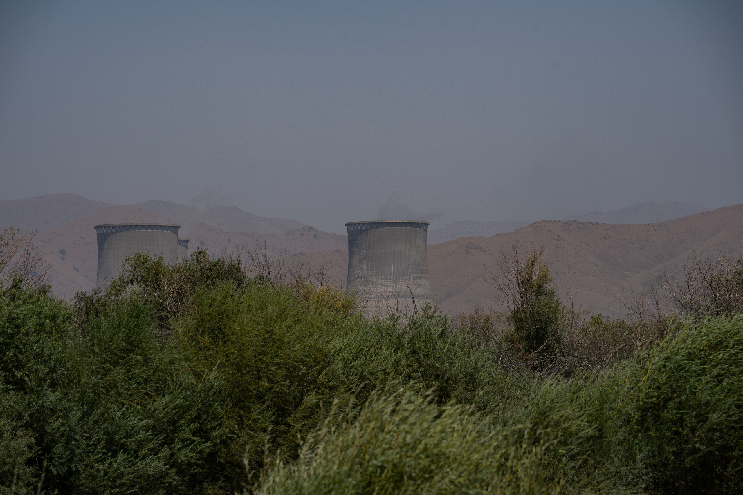 Обзор Sigma 150-600mm DG DN Sport. Фотограф Григорий Кравец