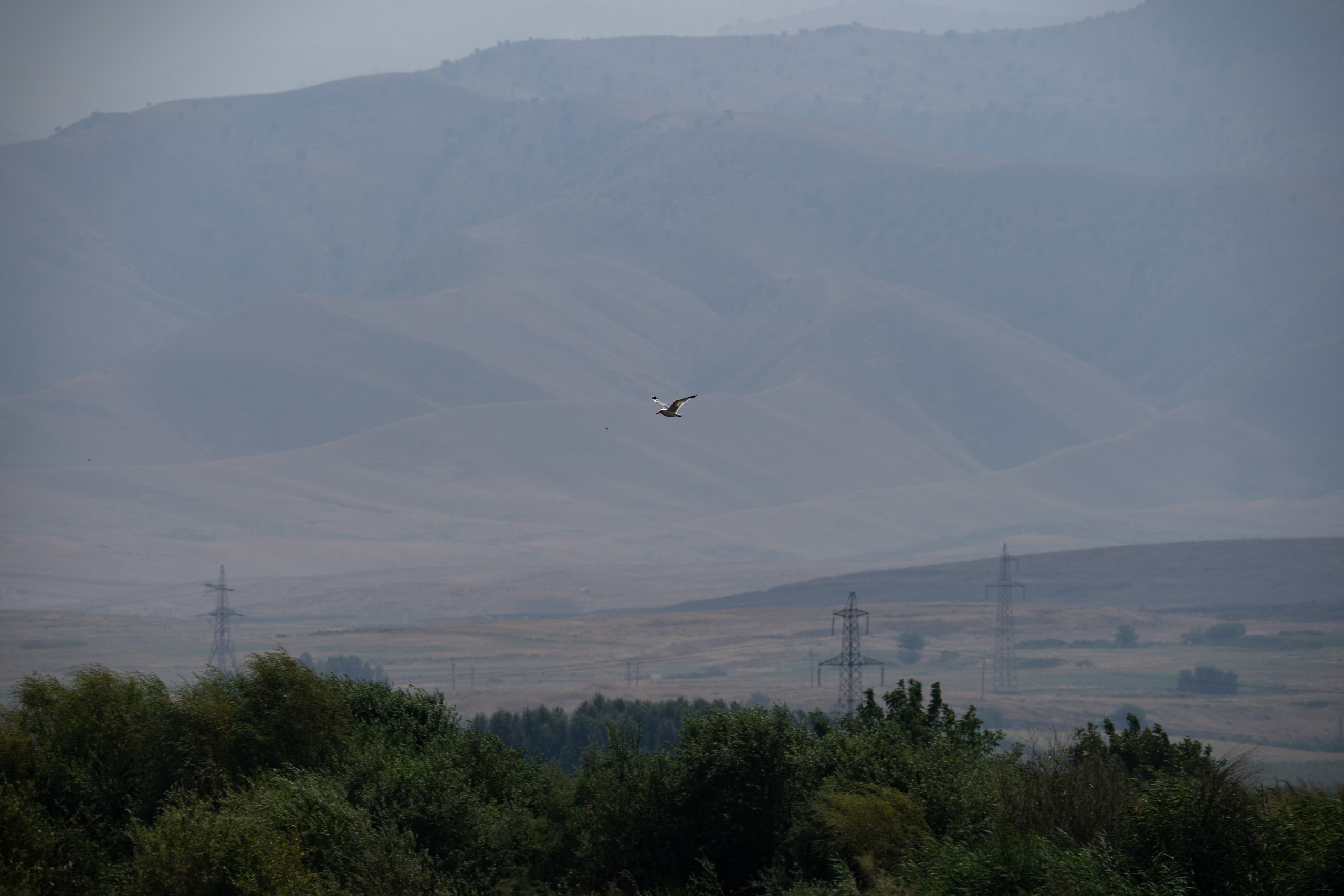 Обзор Sigma 150-600mm DG DN Sport. Фотограф Григорий Кравец