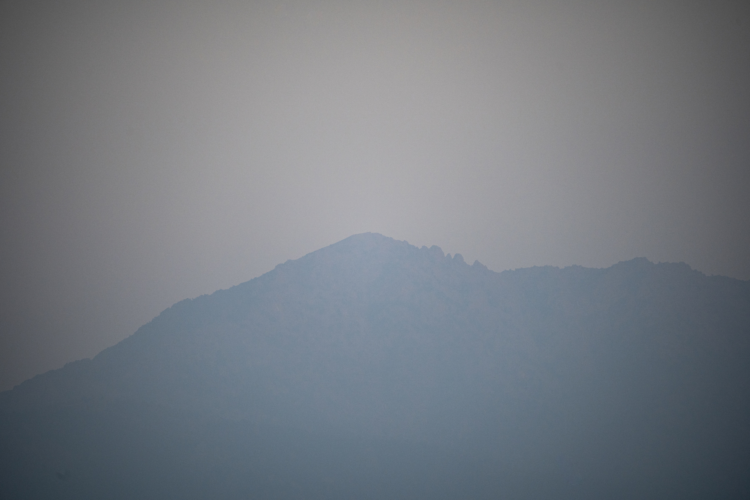 Обзор Sigma 150-600mm DG DN Sport. Фотограф Григорий Кравец