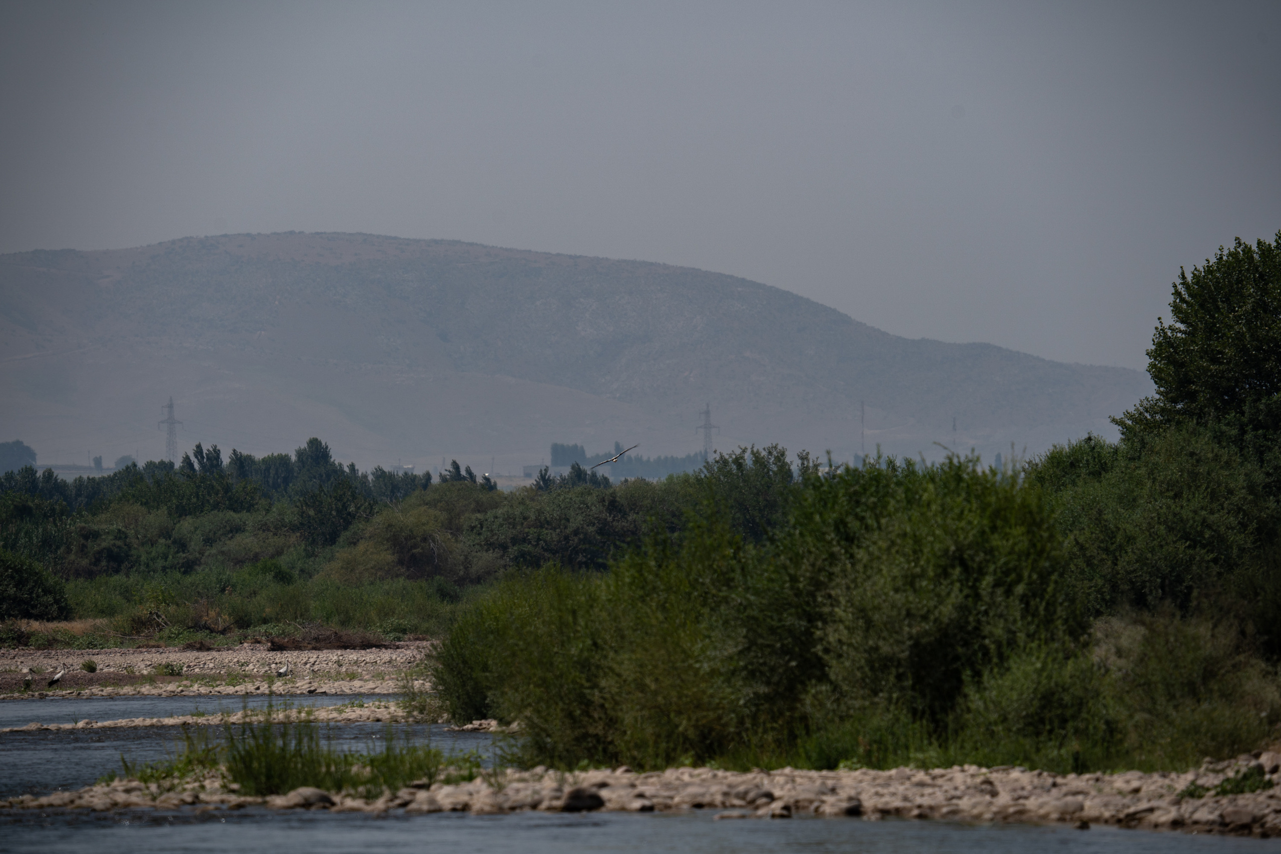 Обзор Sigma 150-600mm DG DN Sport. Фотограф Григорий Кравец