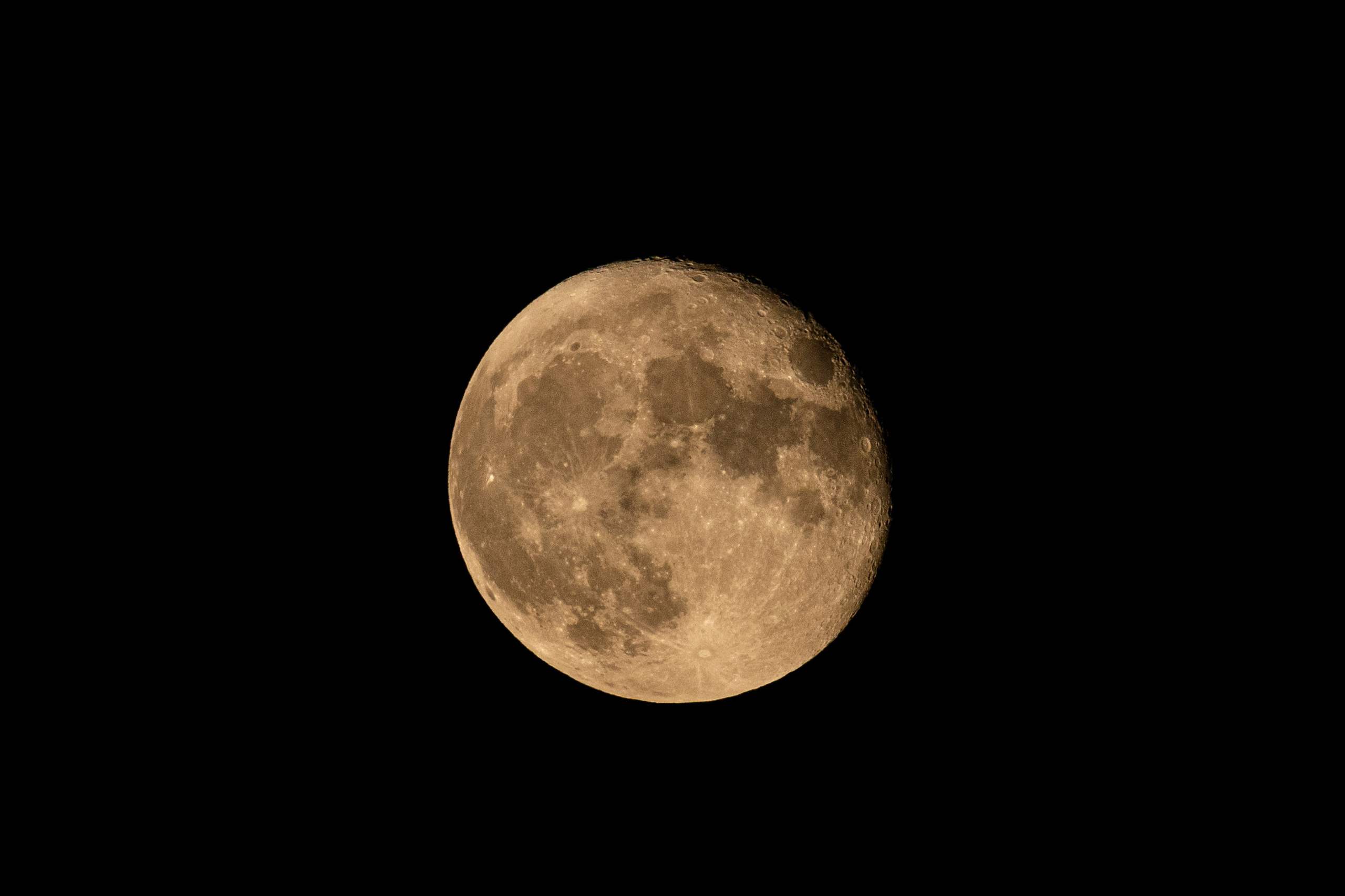 Обзор Sigma 150-600mm DG DN Sport. Фотограф Григорий Кравец