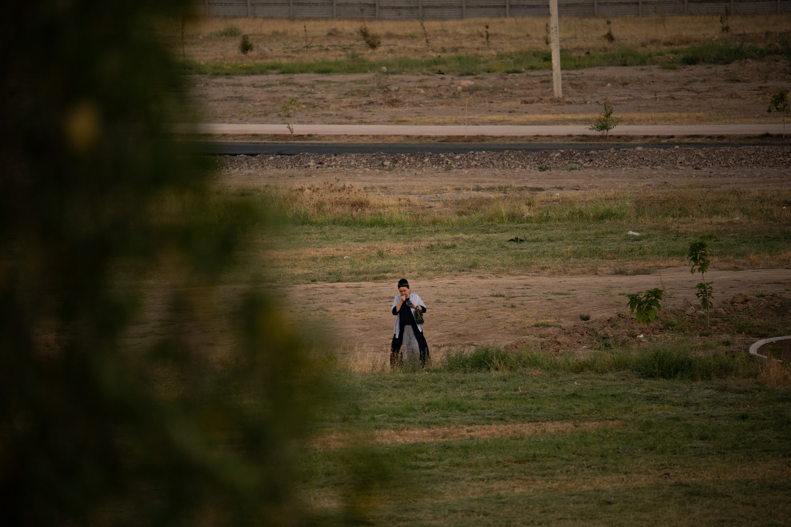 Обзор Sigma 150-600mm DG DN Sport. Фотограф Григорий Кравец