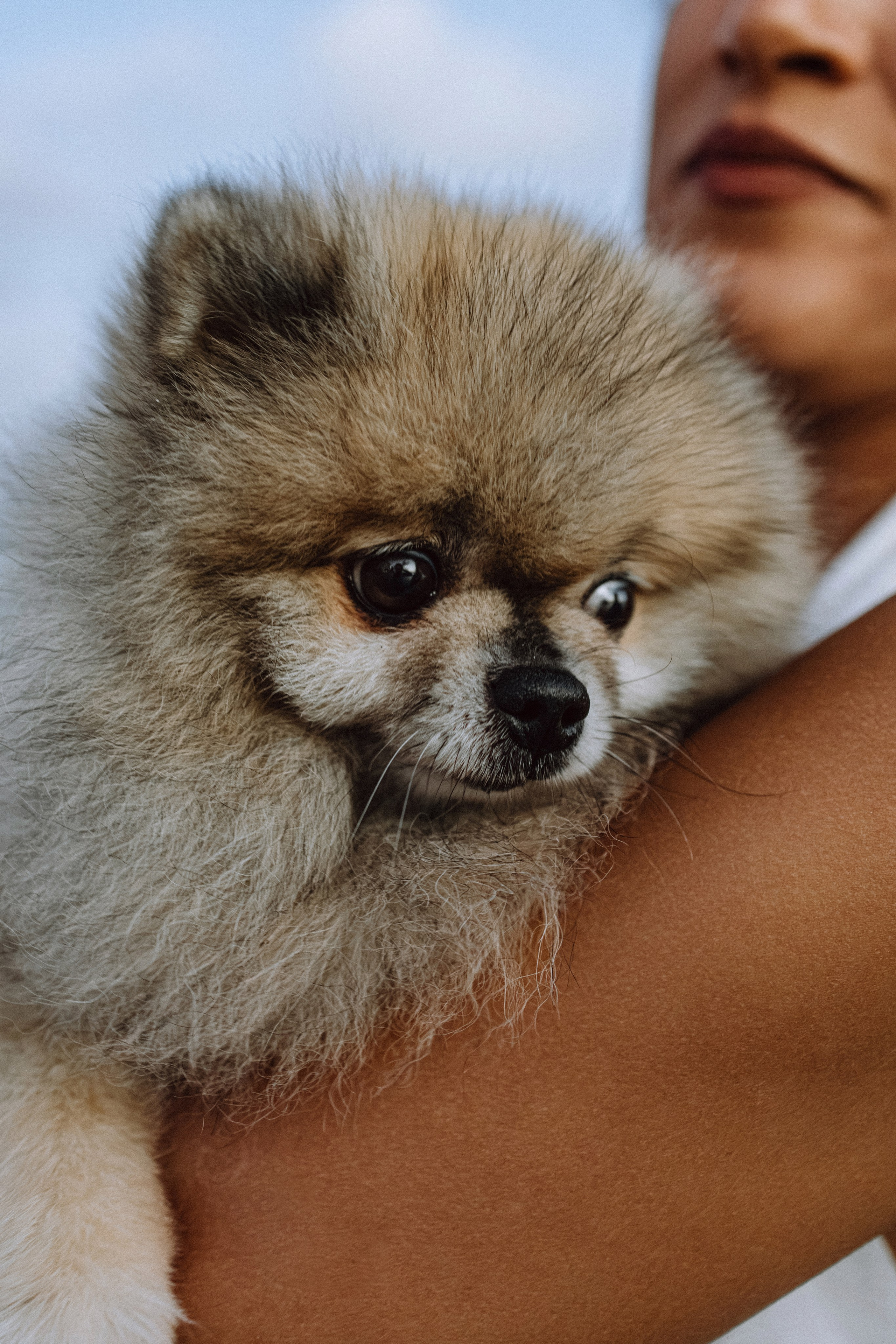 Nobara. Профессиональный фотограф Нурмиева Вероника