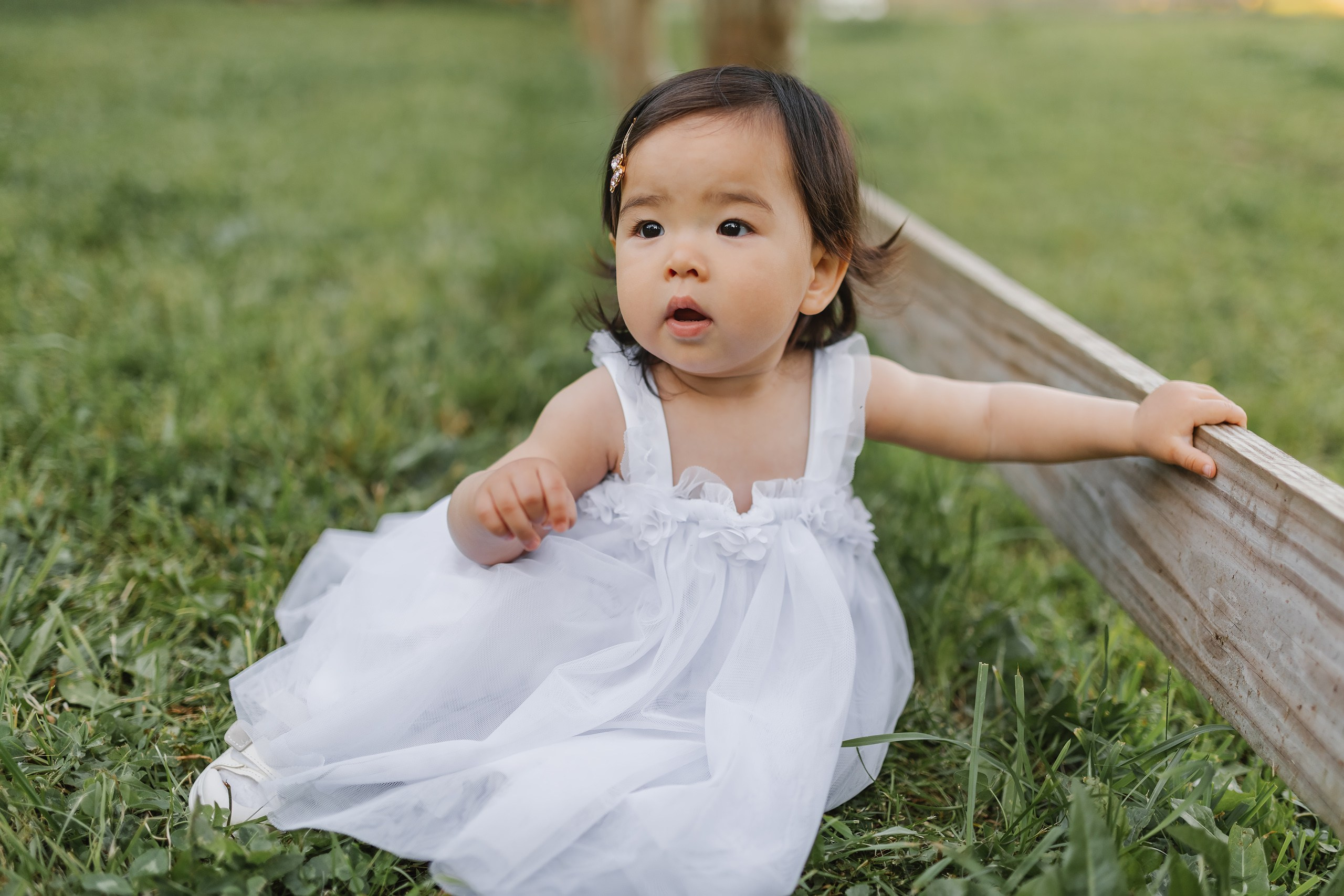 05.25.26 Family Photoshoot. Wedding family event photographer in Chicago Nick Yushevich
