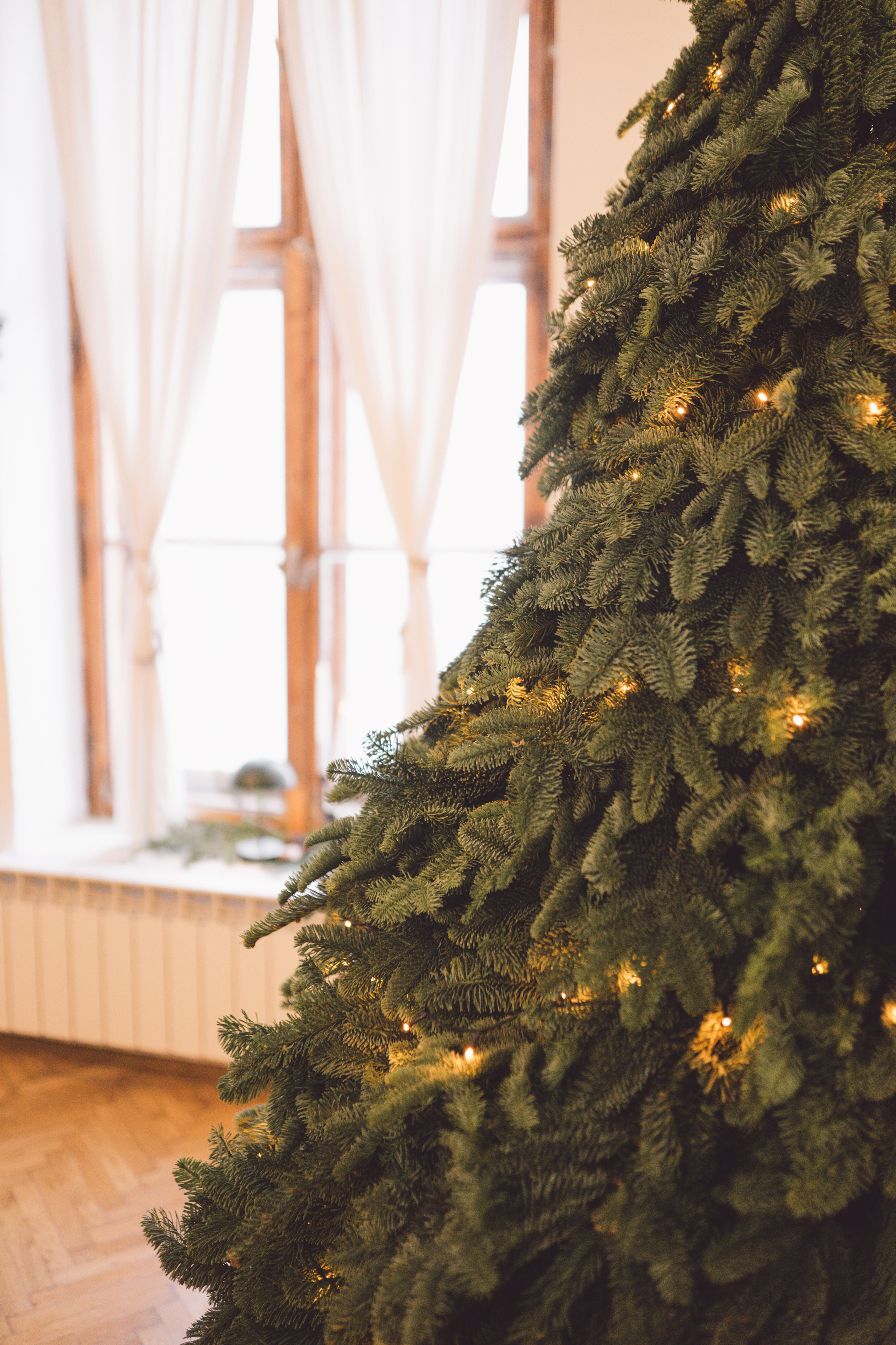 Fotografie de Eveniment Brașov: Povești Vizuale | Mădălina Beda. Madalina Beda- Artist vizual, fotograf, doula la nastere, consultant babywearing Brasov si in toata tara