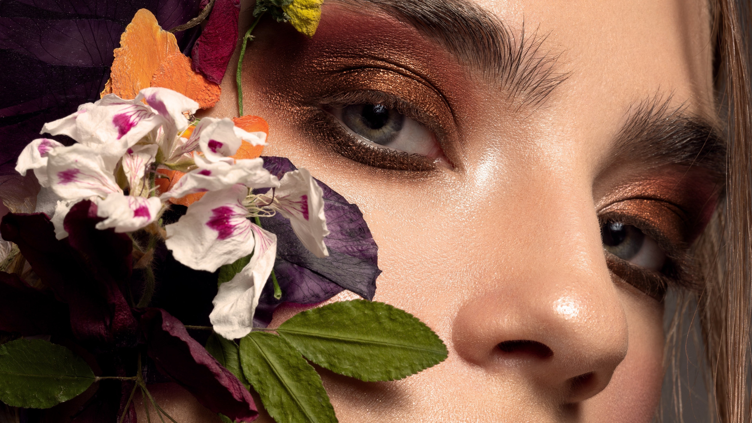 Alireza Sahebi Photographer