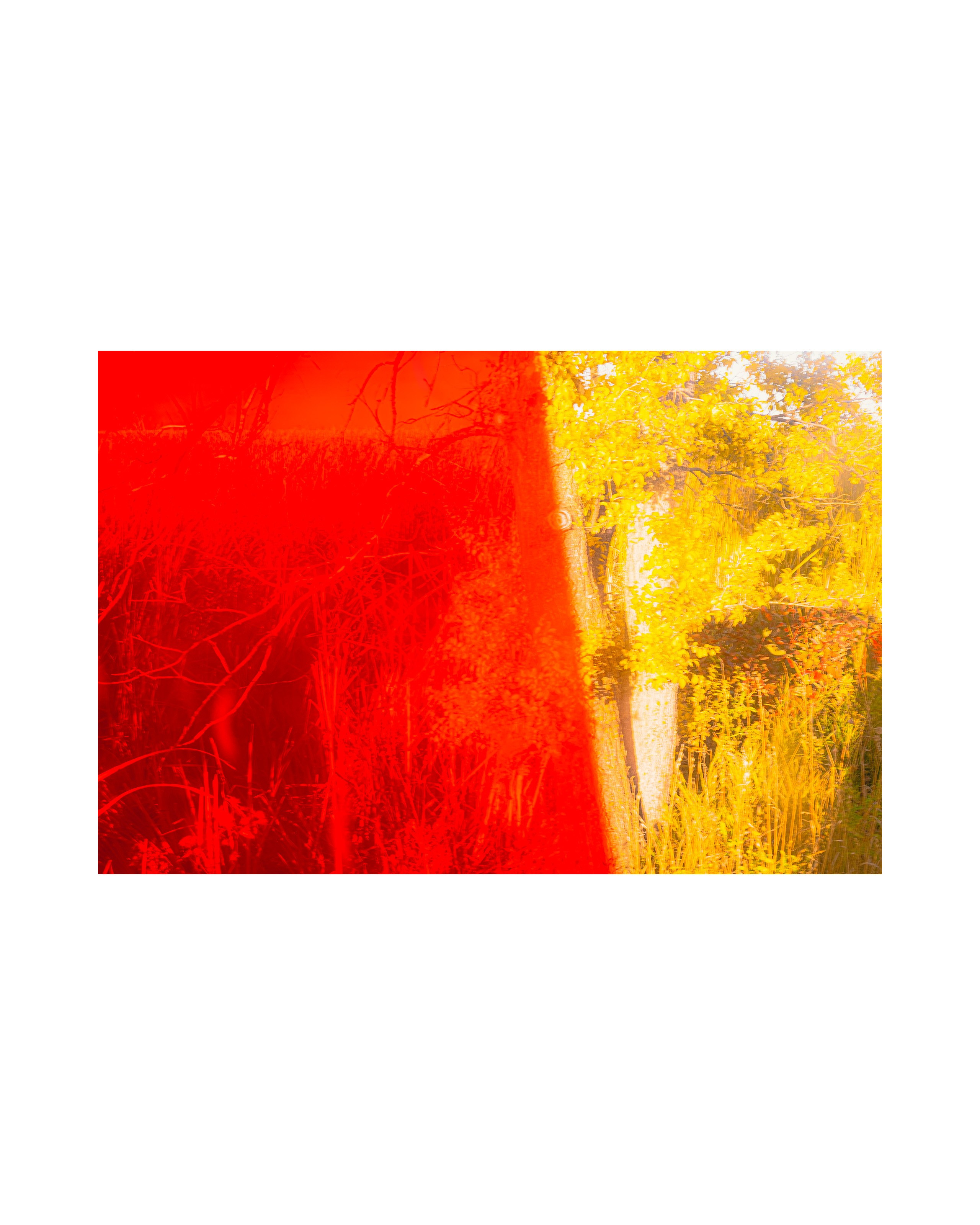 Nature from Exaggerated Worlds. Ekaterina Tsurkina-Appina Photography Canada