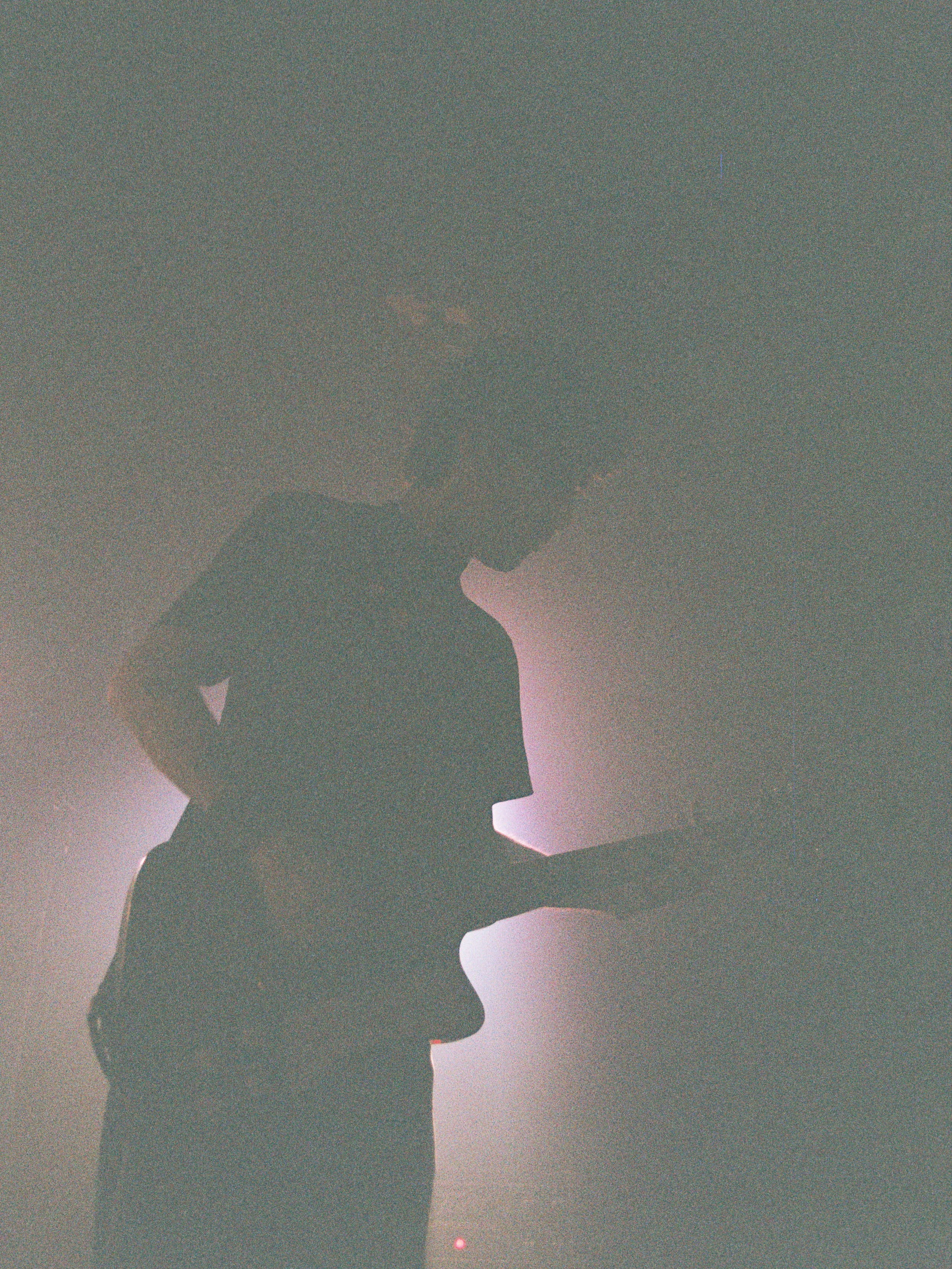 MUSIC AND EVENT. 35mm Photography by Brad Zgonena based in Chicago, IL