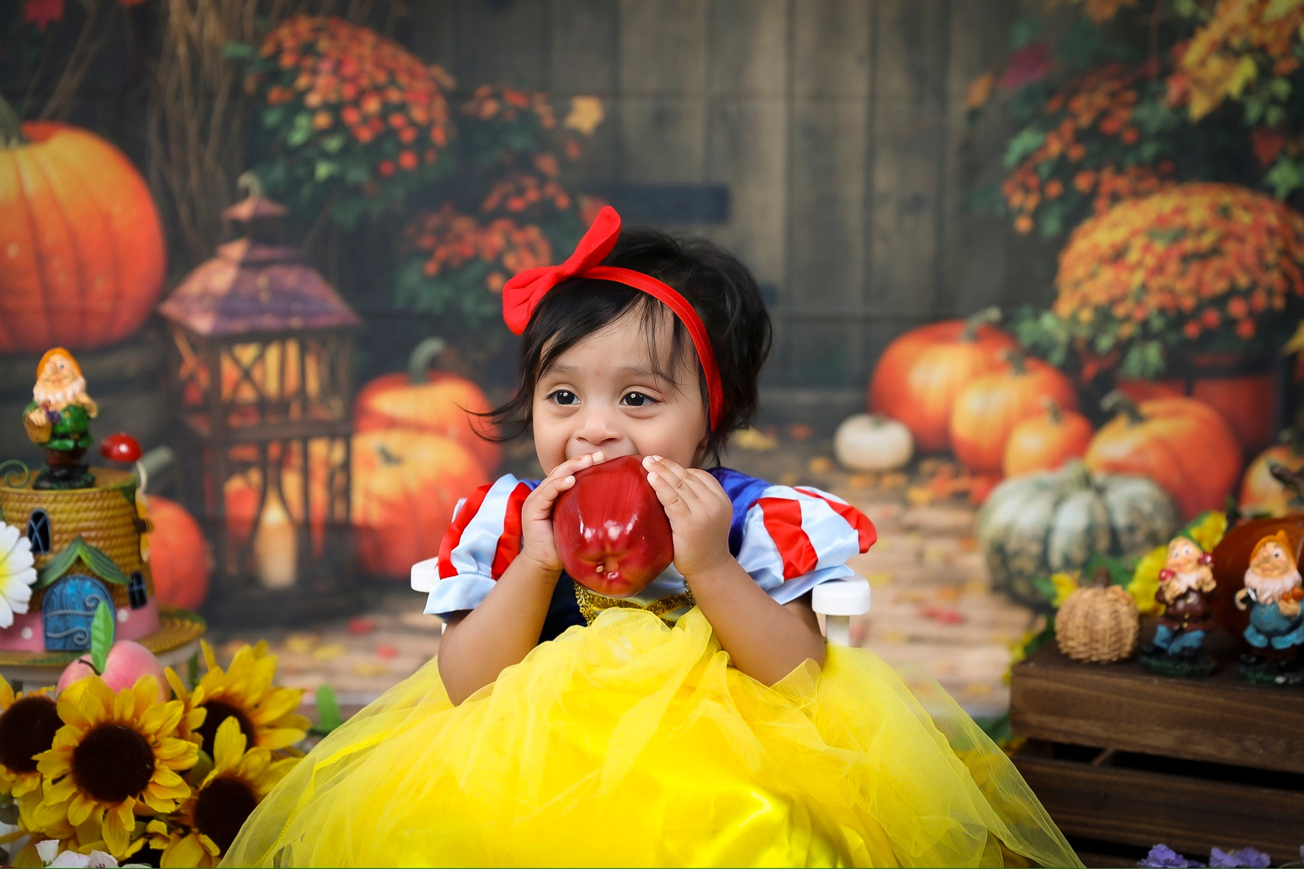 Milestone. AP Lens Photography | Newborn, Maternity, Milestone & Family Photographer Little Elm TX