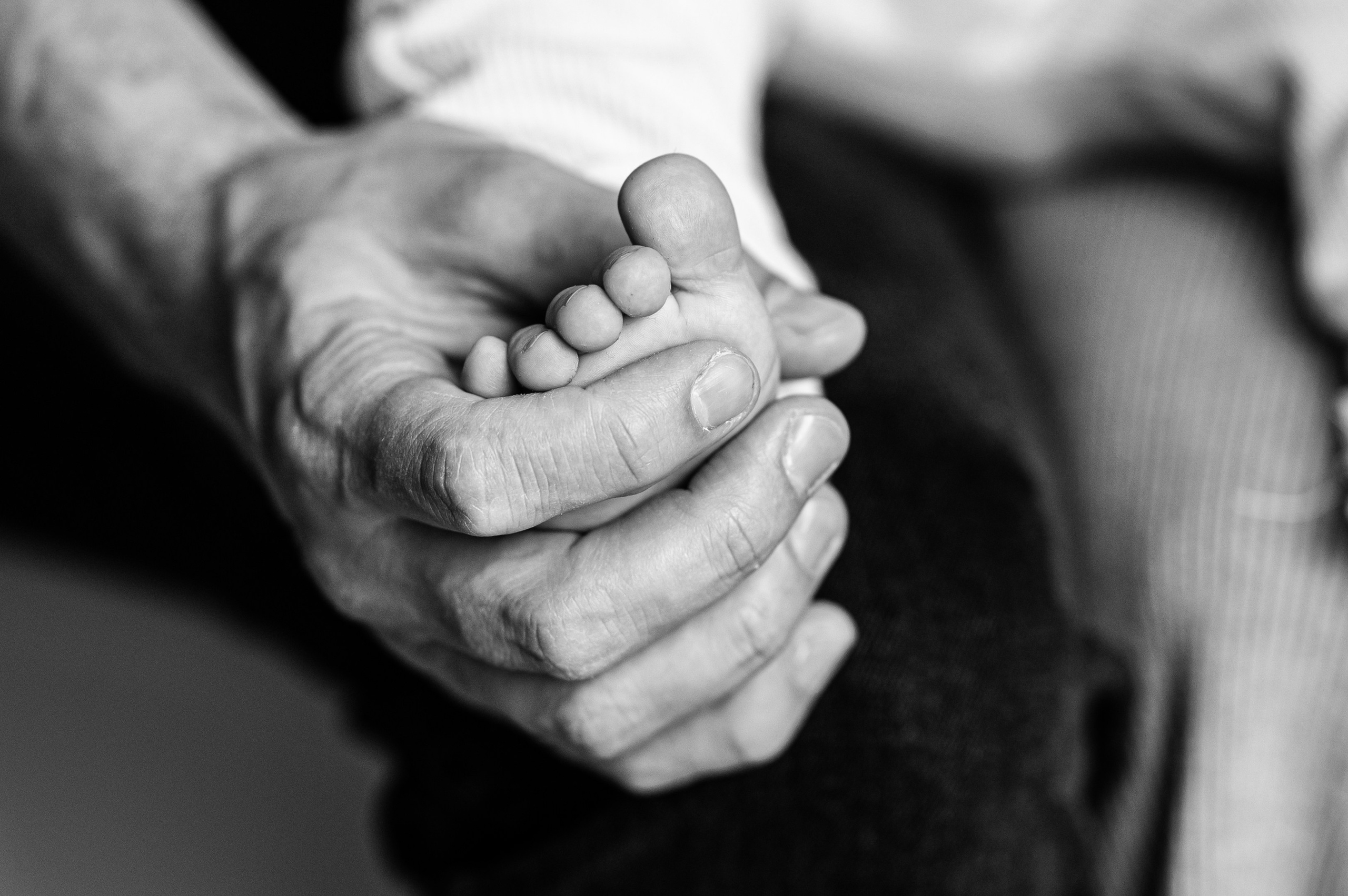 Anniversary/Family. EVA Photography