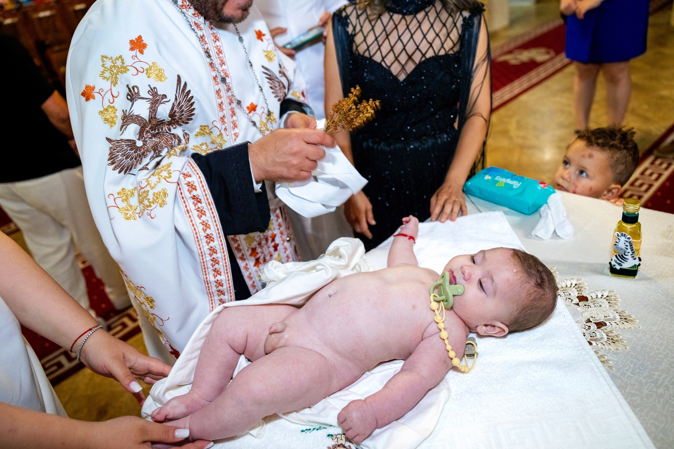 Andrei Damian. Moments By Gub