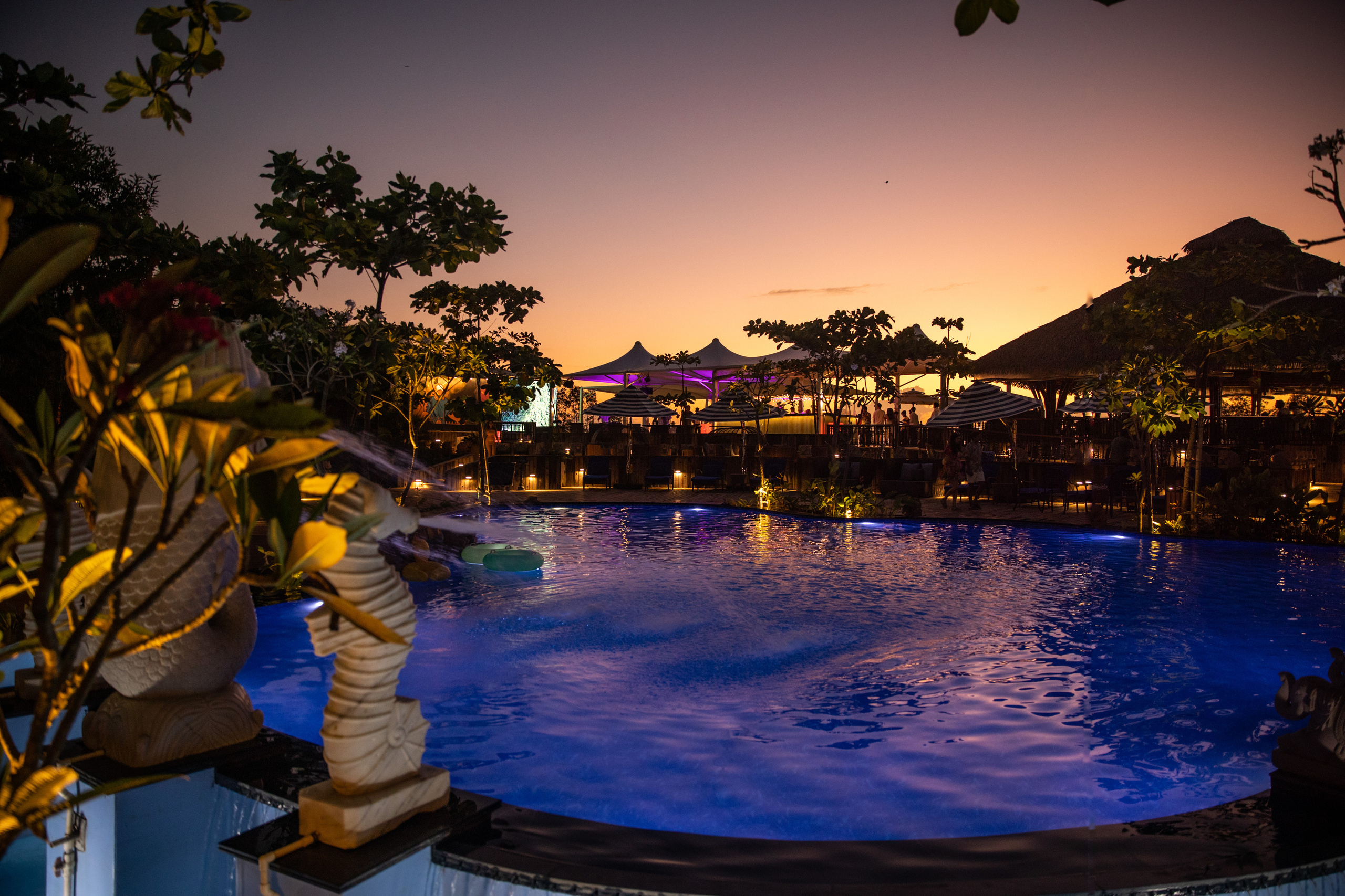 PROPERTY. International Photographer