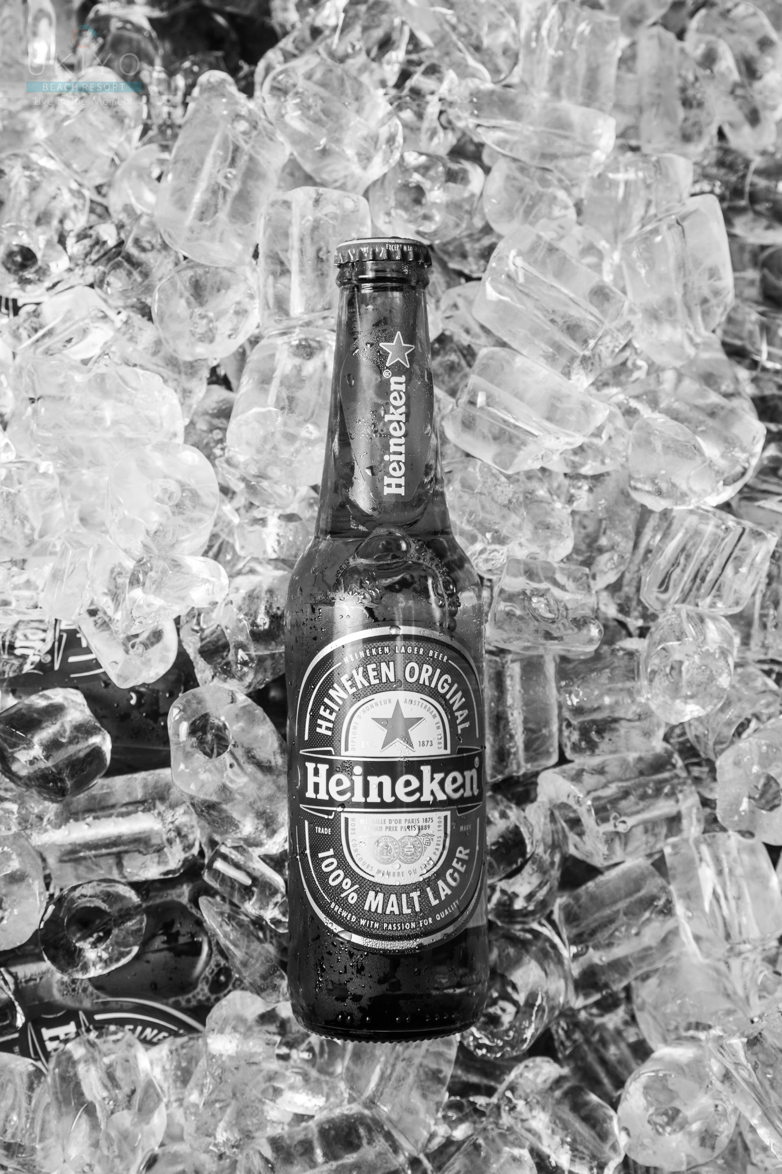 Product photography. International Photographer