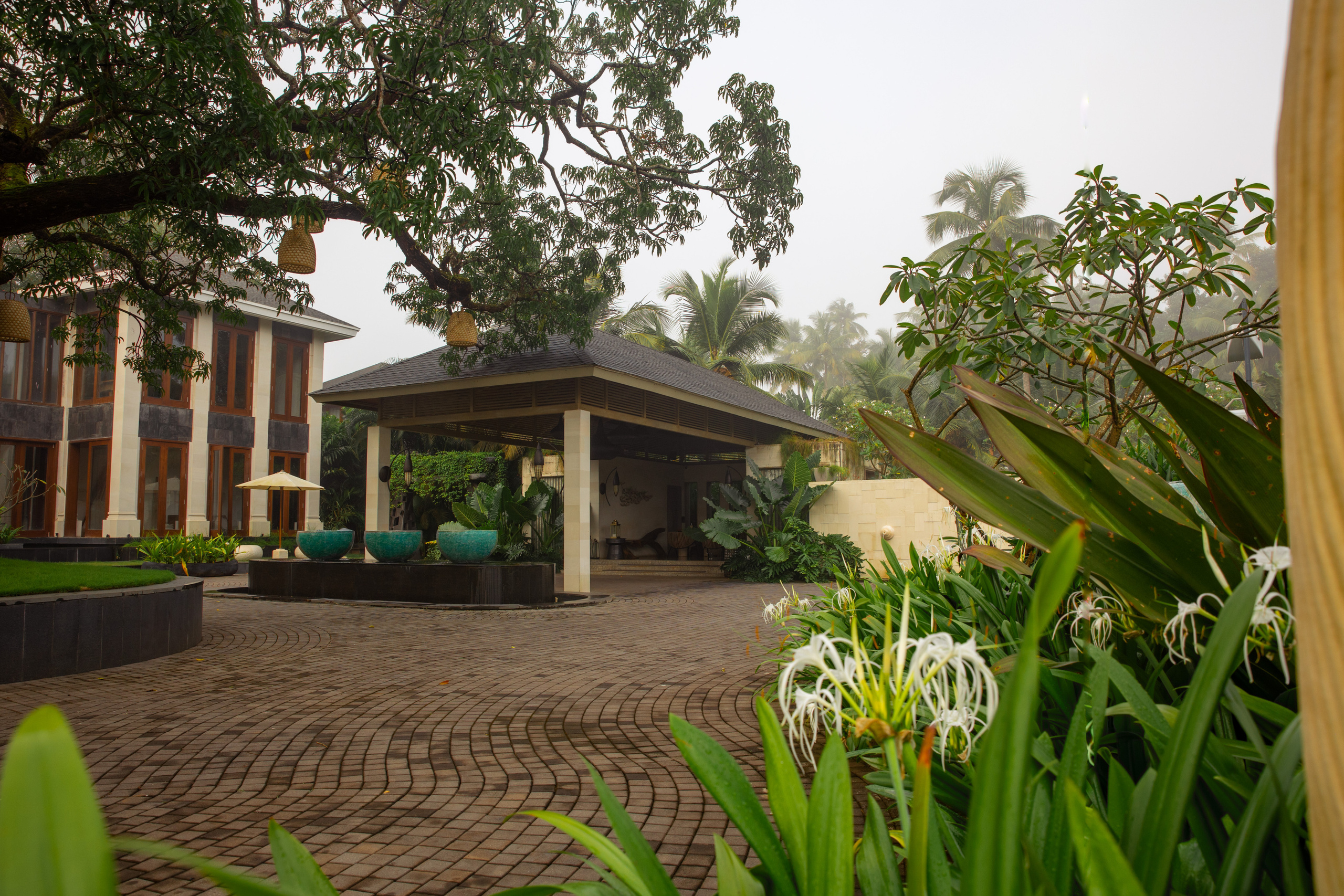 PROPERTY. International Photographer