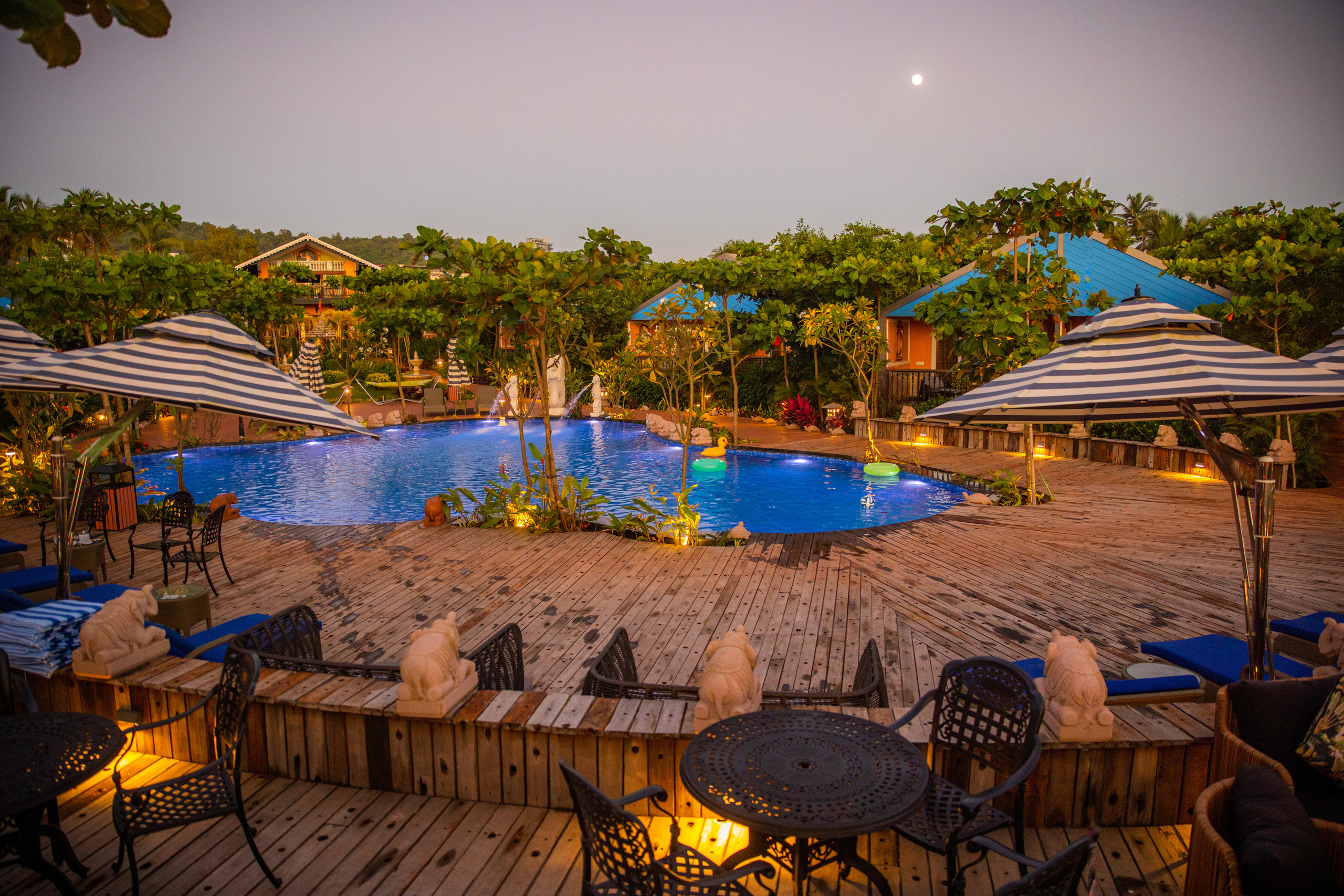 PROPERTY. International Photographer