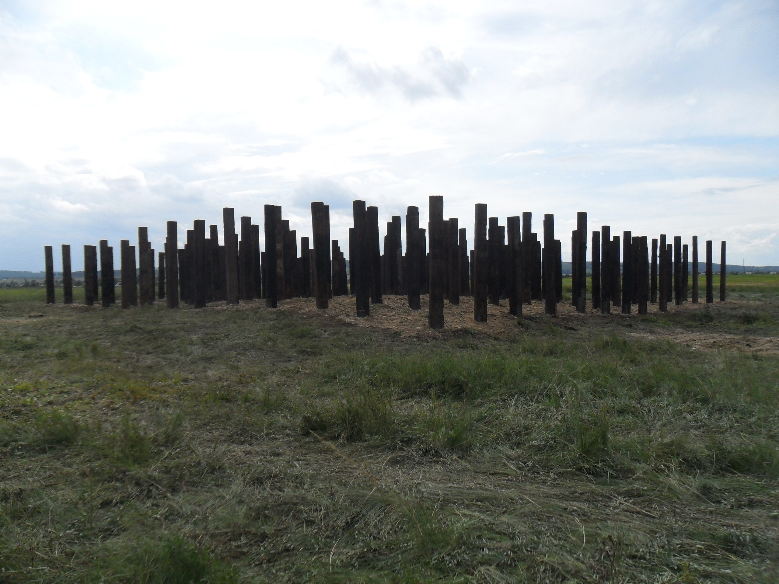 Garden, 2011. Haim Sokol’s artists website