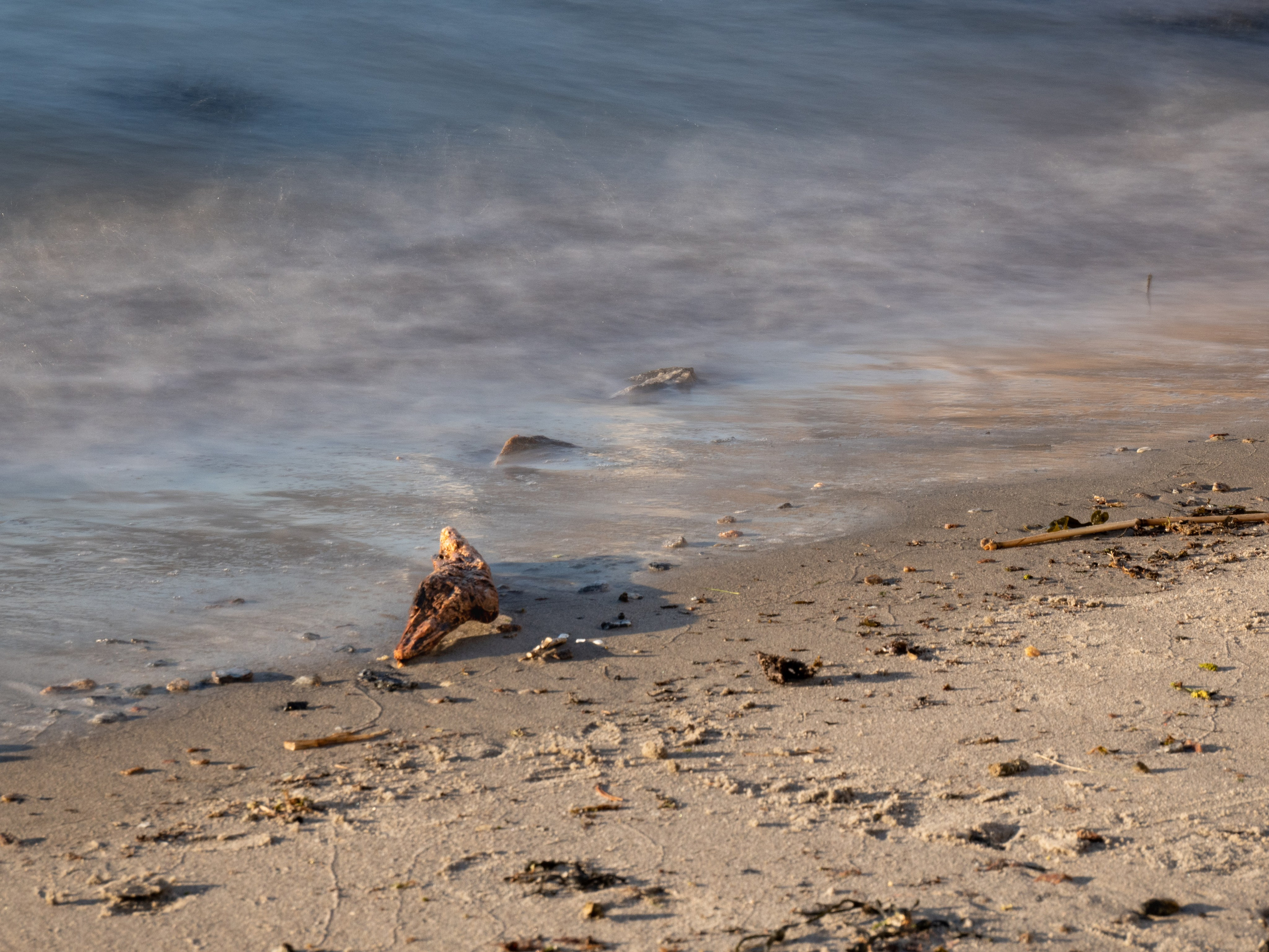 Portfolio. Photographer in Sotenäs municipality. Fotograf i Sotenäs kommun
