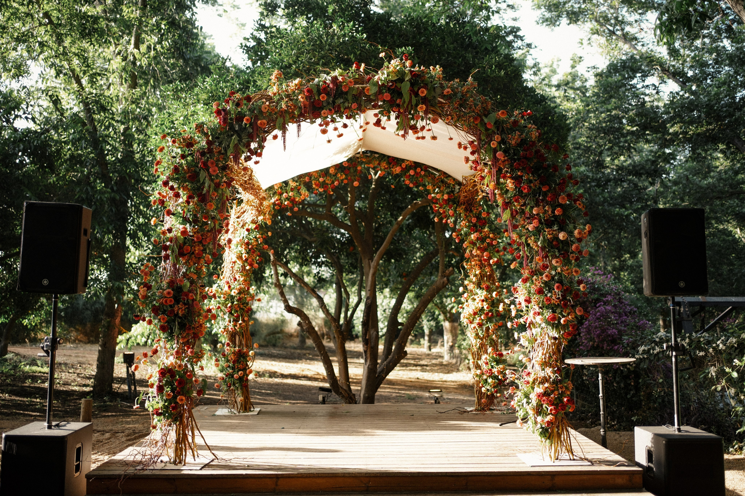 Dmitry Gorodetsky Event Photographer