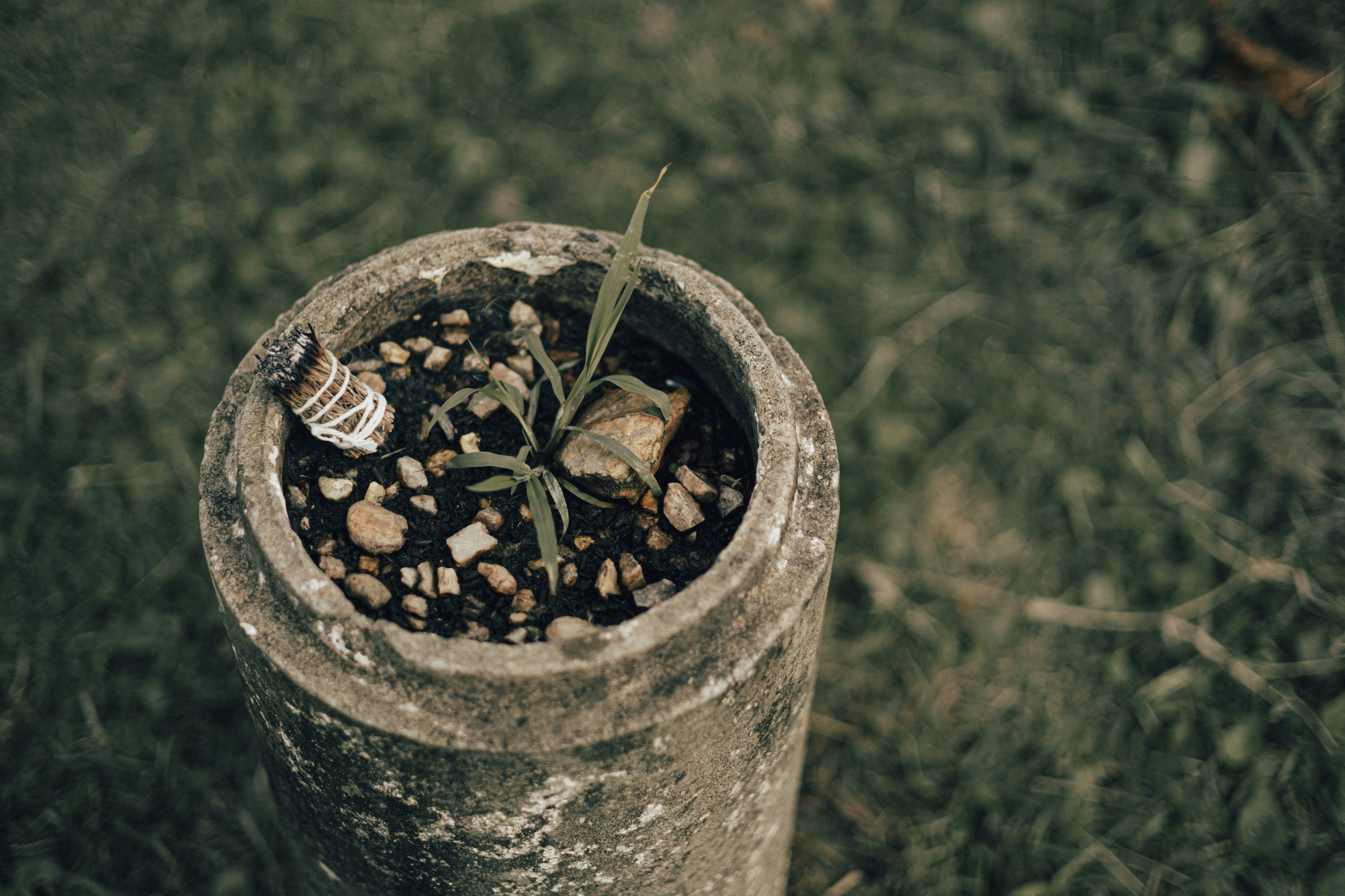 Carol&Carol. Sara Eulalia | Virginia Photographer