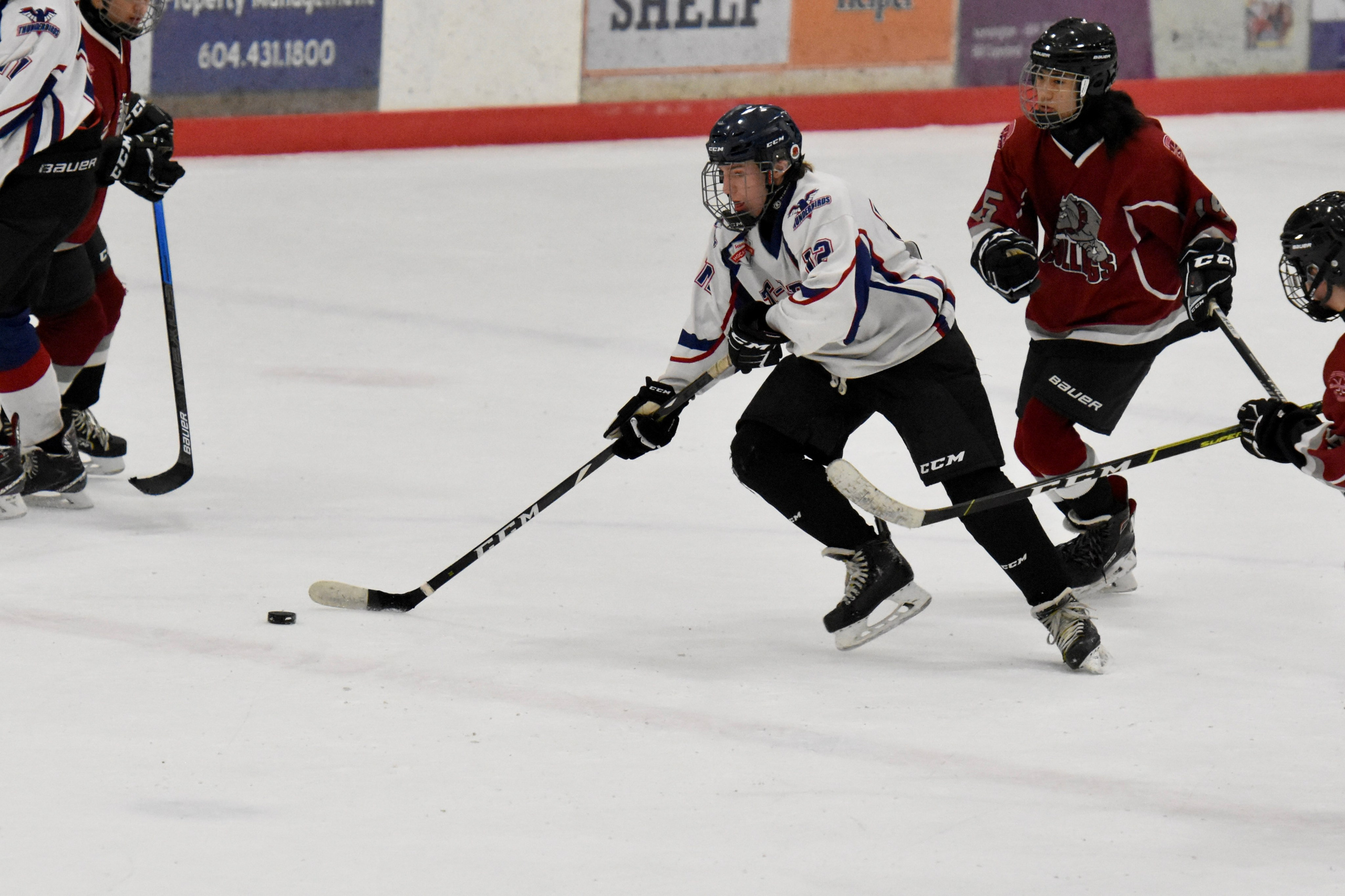 Ice Hockey. Jennifer Lai Media