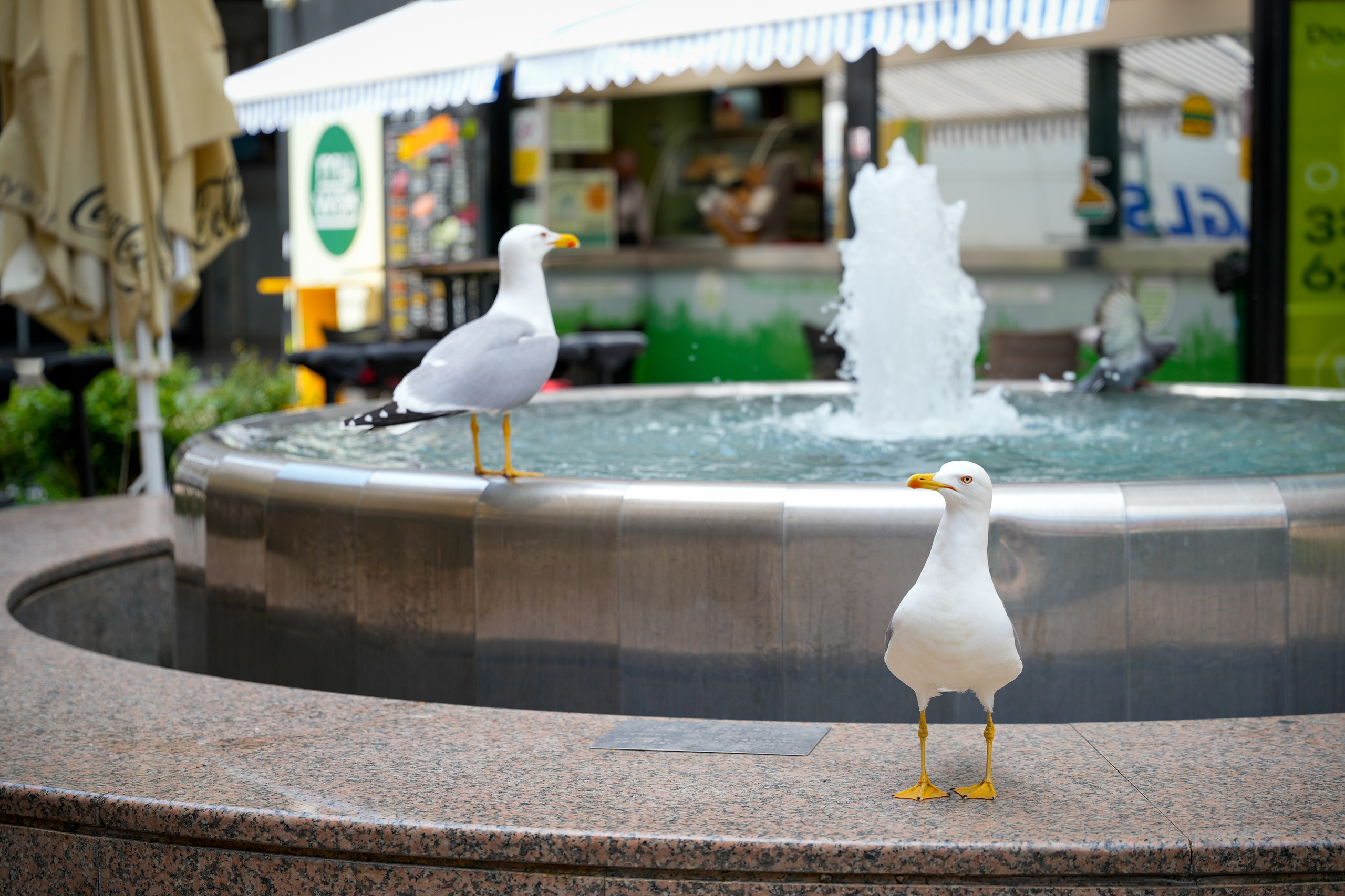 Bank Jerusalem — Team Retreat