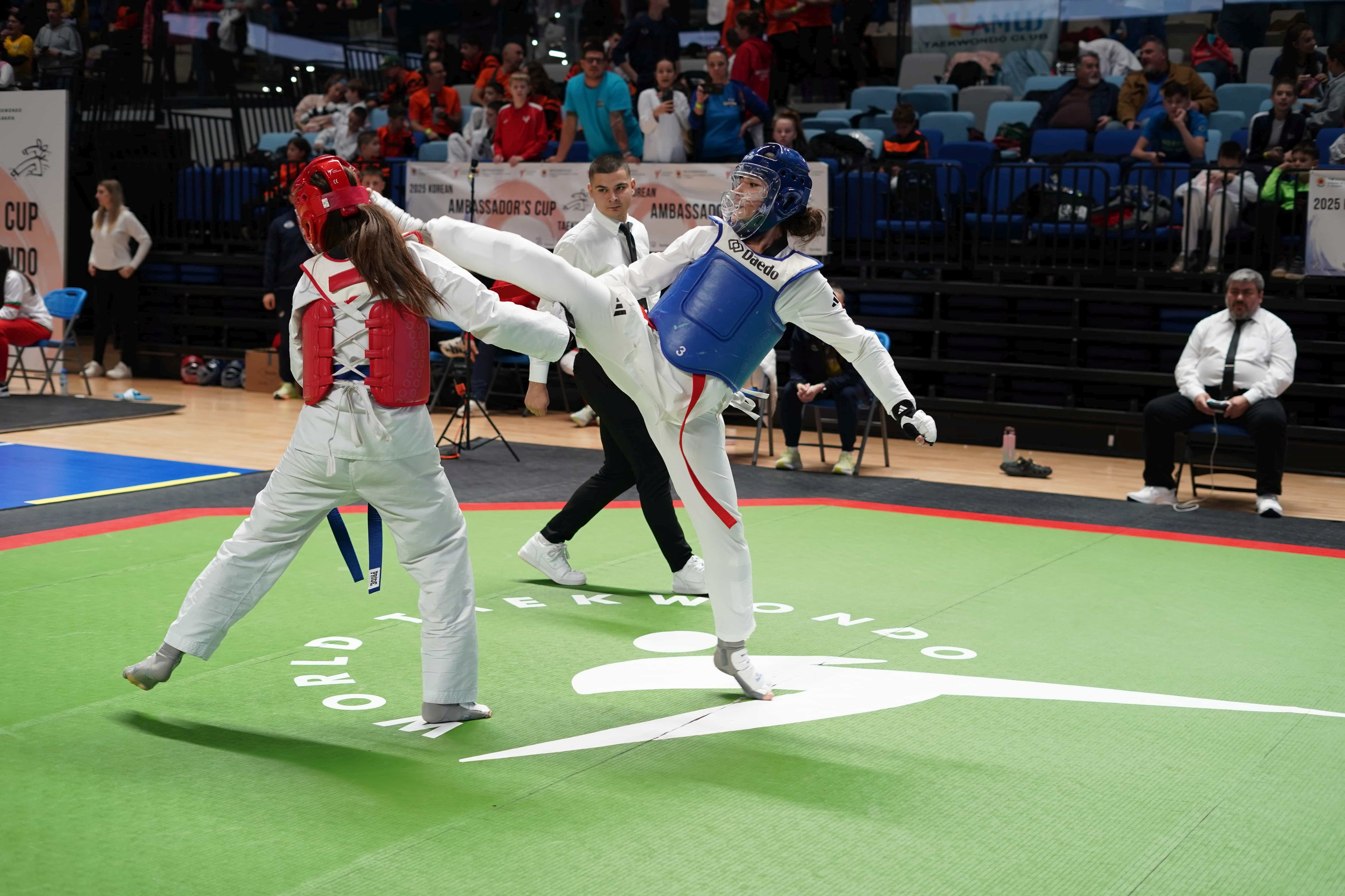 PhotoAdrenaline.com - Спортна фотография на&nbsp;TAEKWONDO турнири