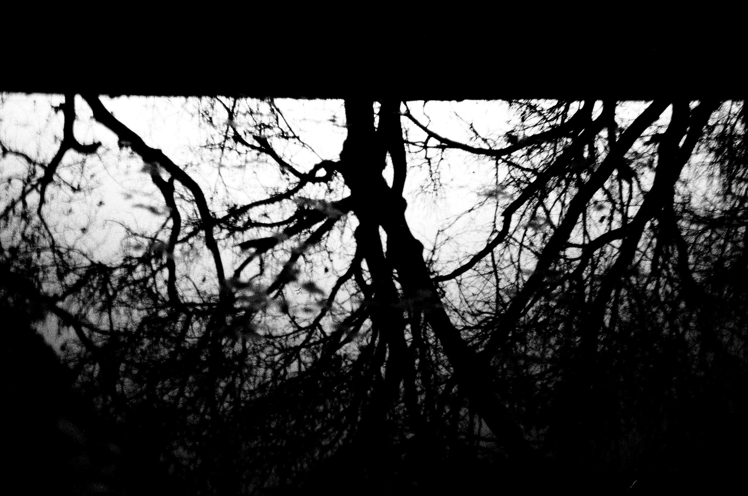 Personal Photography. Arman Milani, Brand-Focused Video Production & Content Creation, Based in Berlin