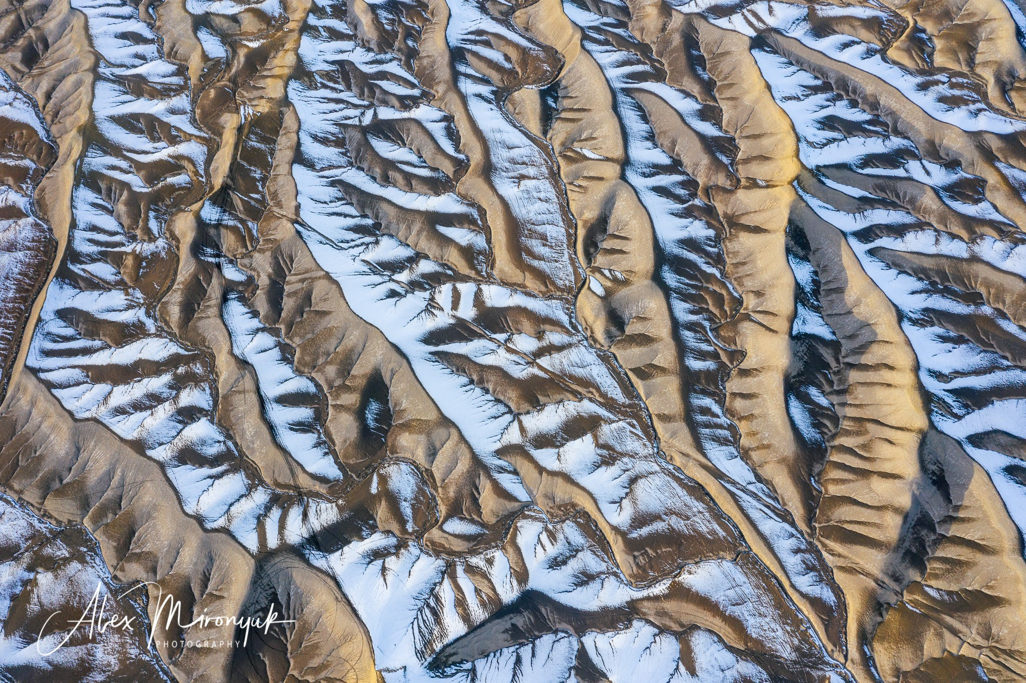 Eagle’s View: The American Southwest. Pet, Senior, Landscape, portrait studio, photographer in Miami and Sou