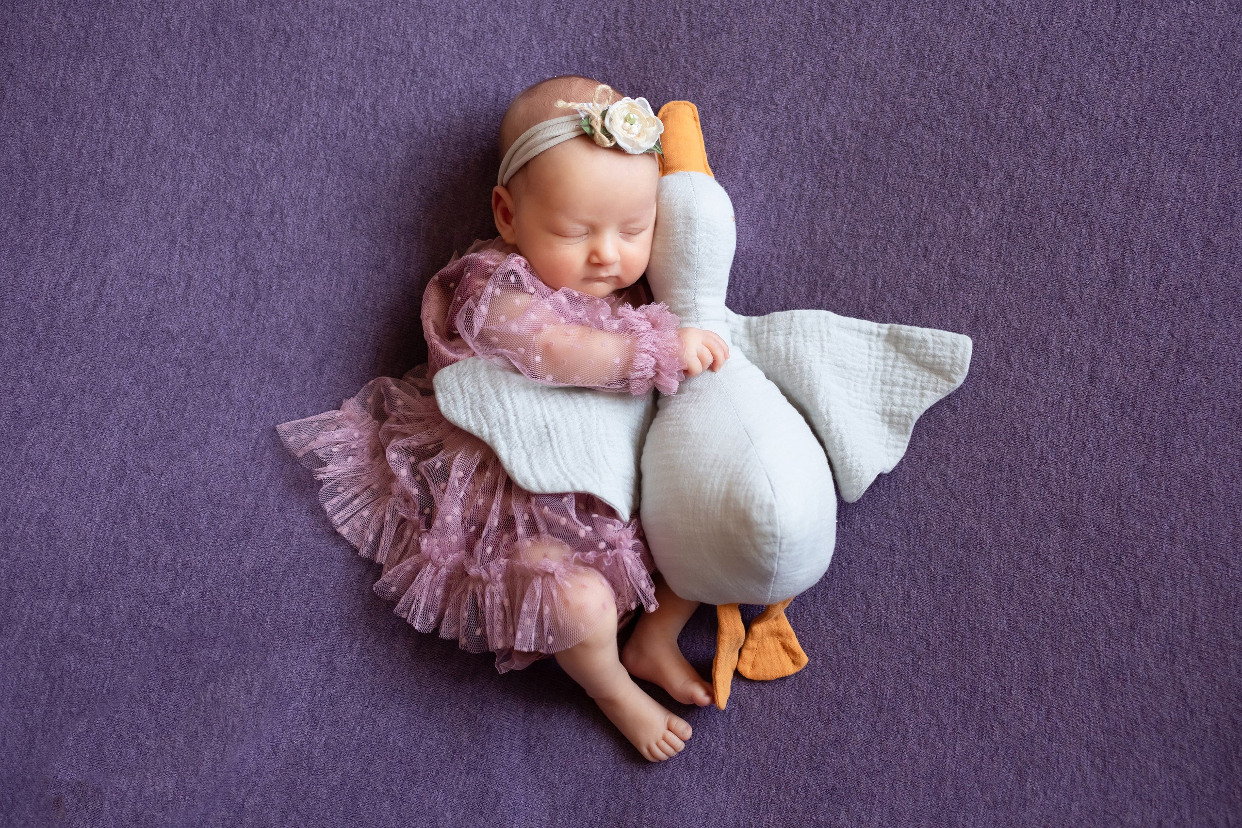 Классика. Профессиональный фотограф в Испании