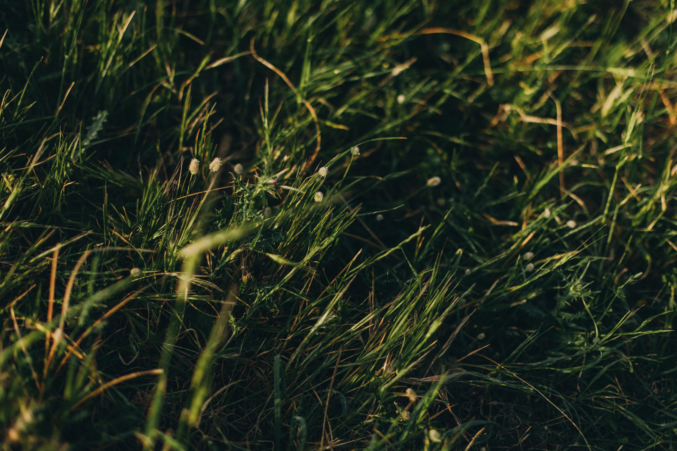 Katya & Arya. Family and business portrait’s photographer in Cyprus