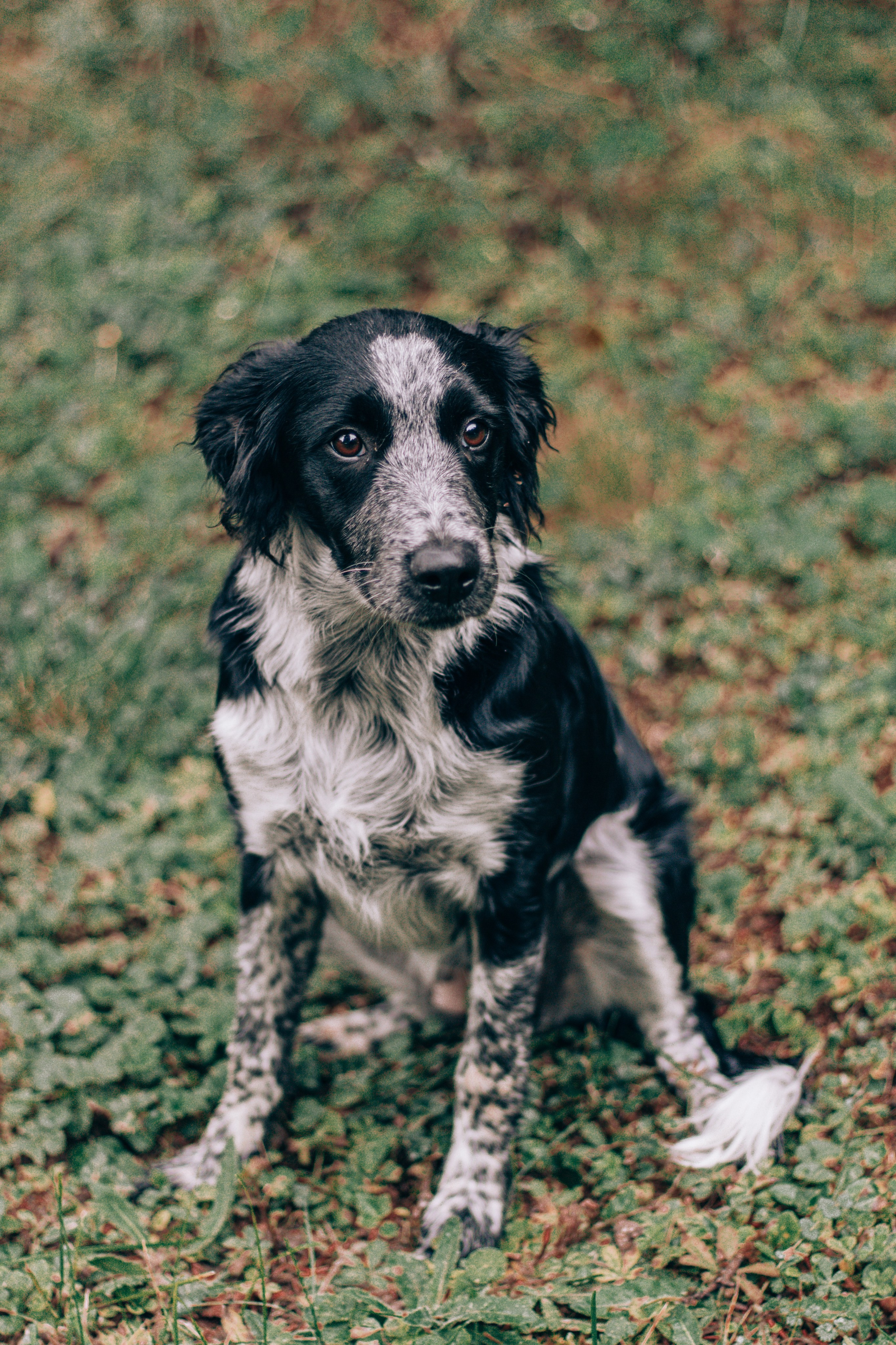 Johanna et sa famille. Studio photo « Partage ton bonheur » – Photographe famille près de Châtellerault, Poitiers et Tours