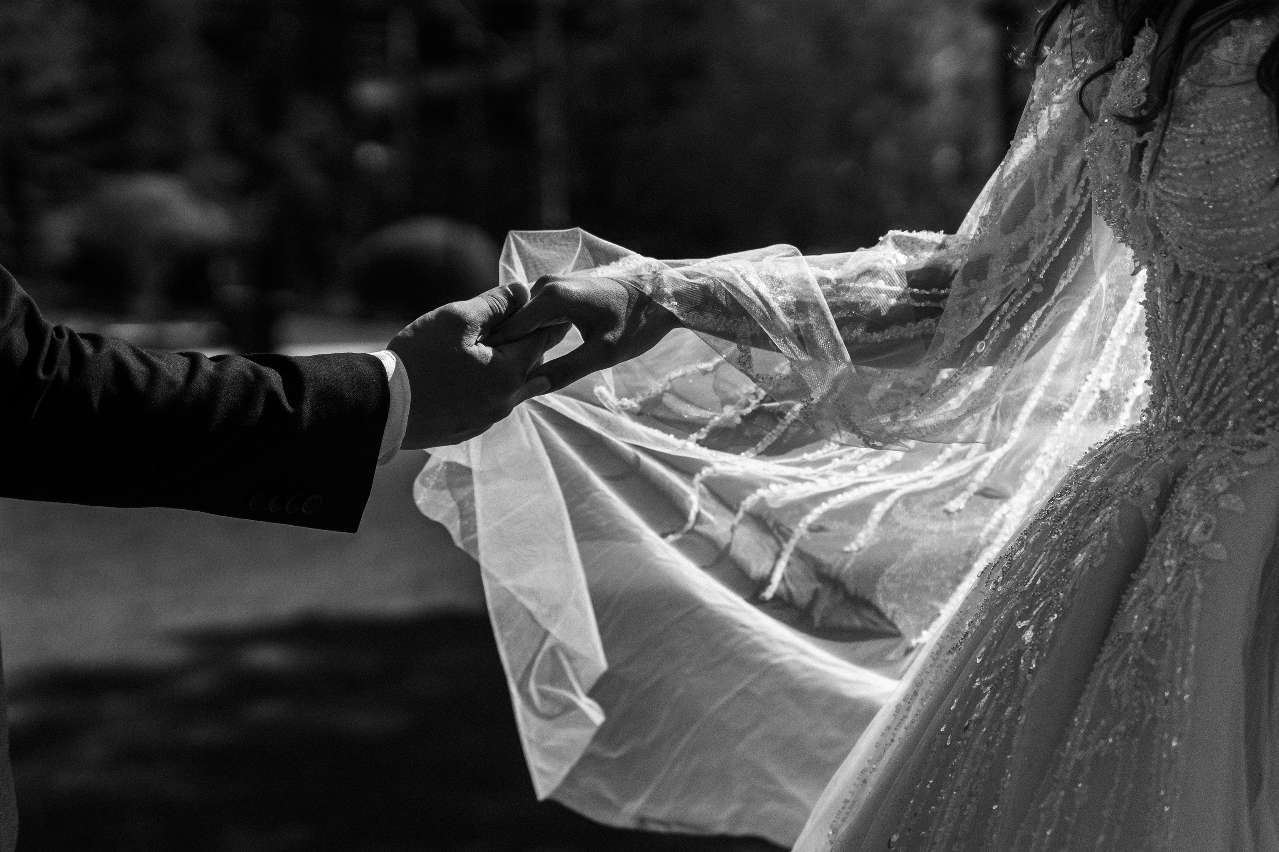 Portofoliu de fotografii profesionale. Fotograf de nuntă și familie Chisinau Moldova