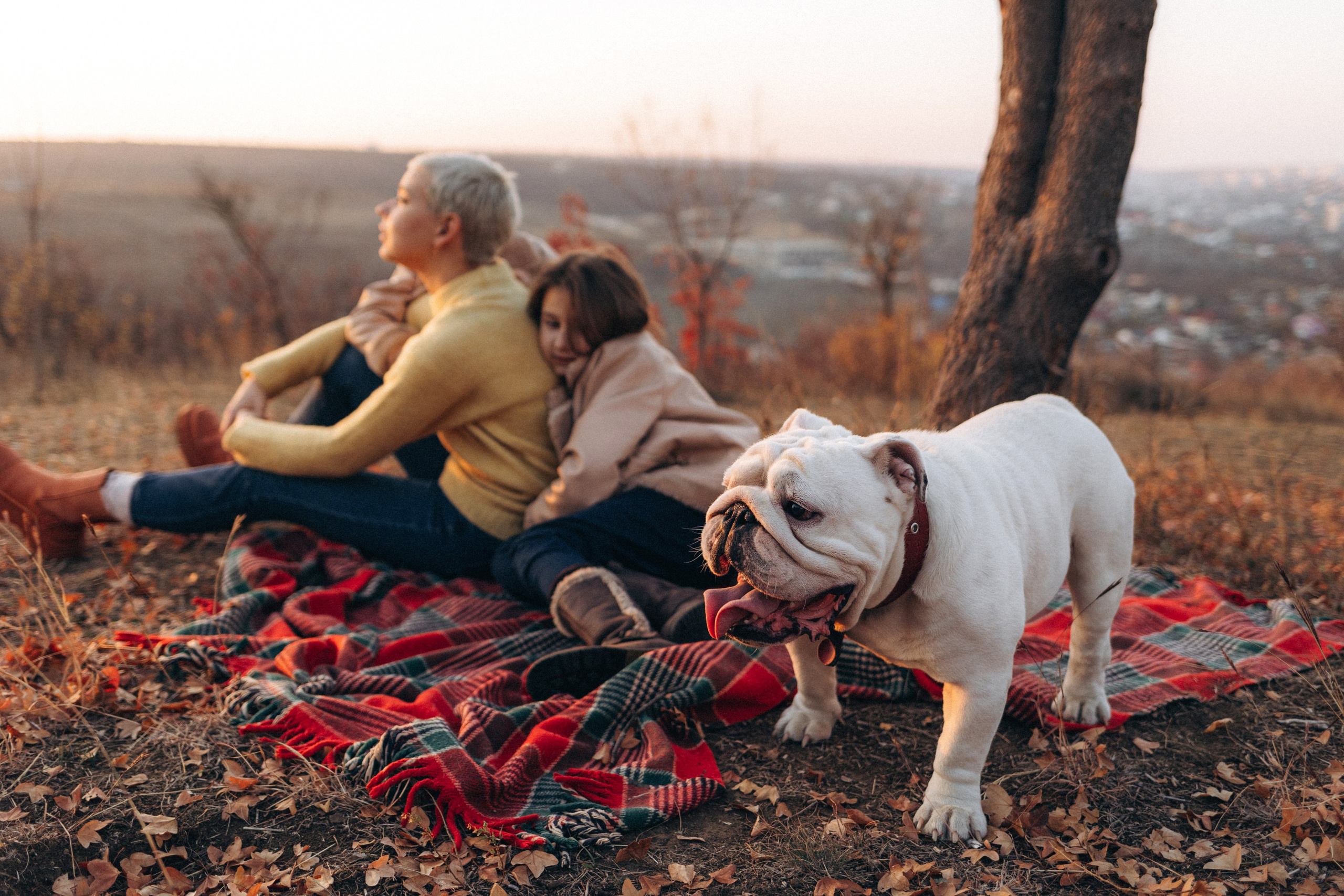 Fira. Семейный фотограф в Кишинёве Пулькина Ольга