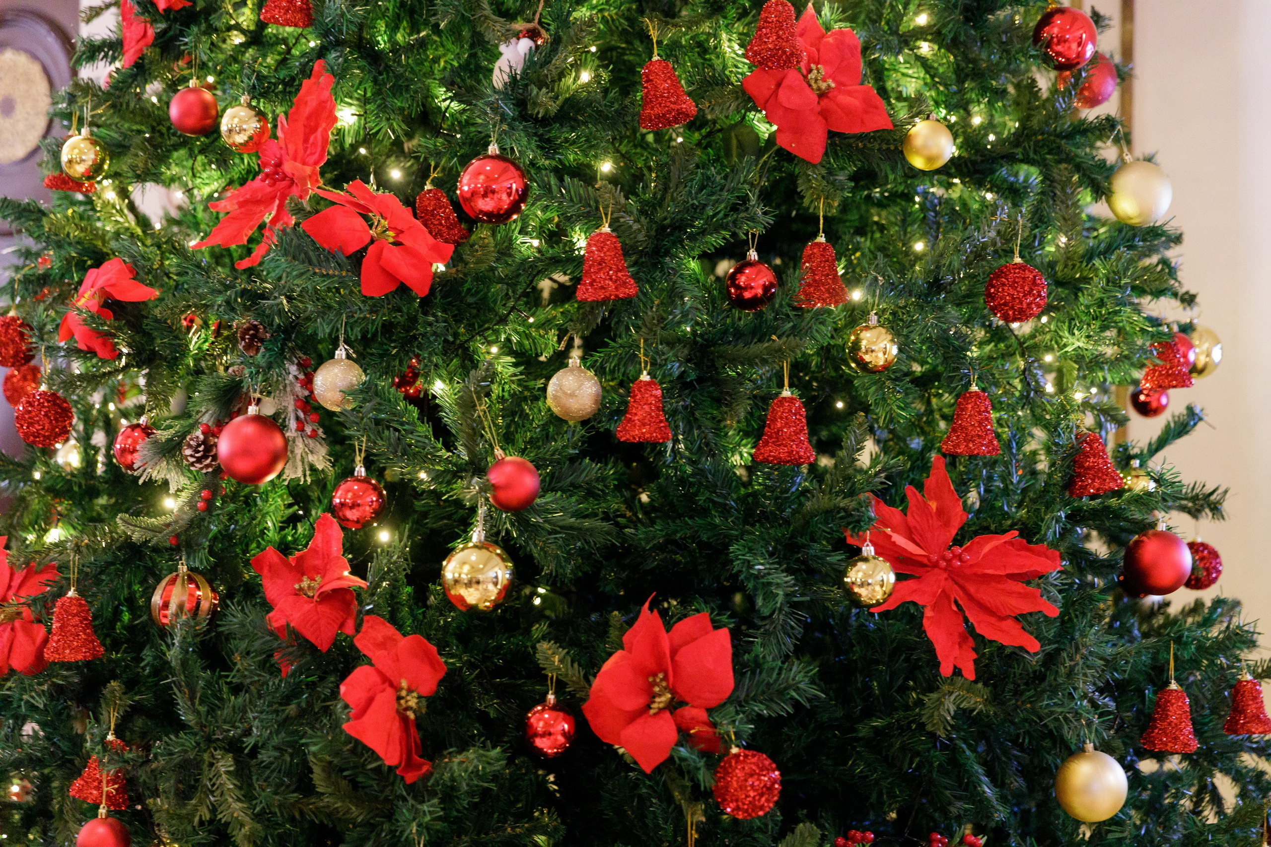 Новогодняя сказка для журнала Русские Эмираты, Дубай 2024. Фотограф Анна Кучерявая | Свадьбы и мероприятия в Дубае