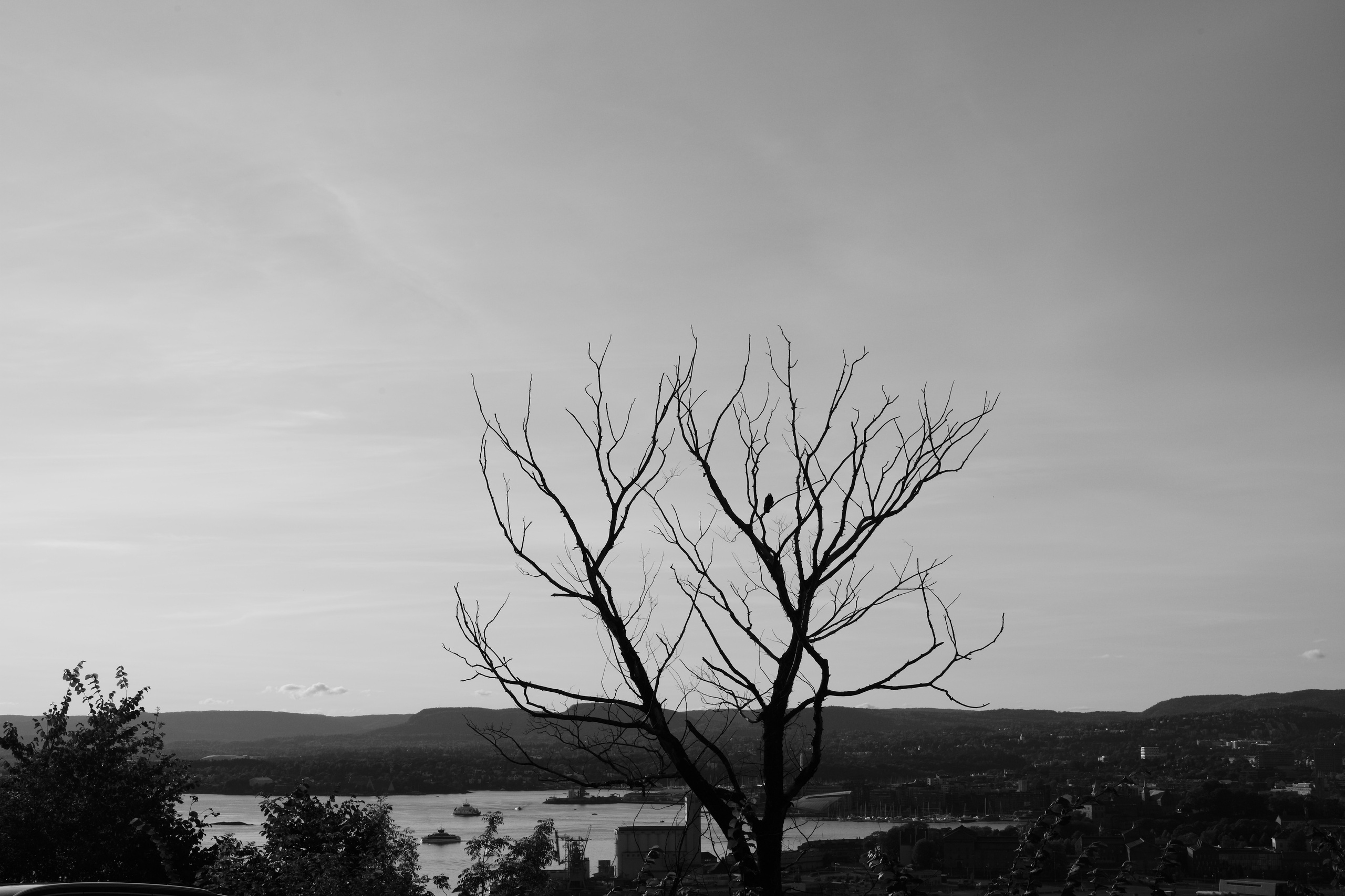 Natur. Foto som Kunst. Anastasia Majestic Kunstkaper, Make-up Artist, Stylist