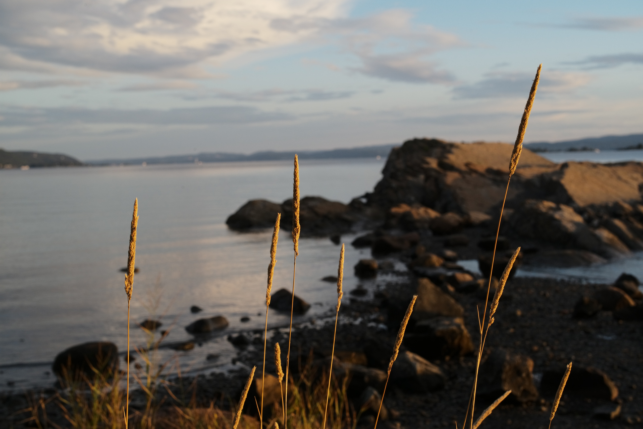 Natur. Foto som Kunst. Anastasia Majestic Kunstkaper, Make-up Artist, Stylist